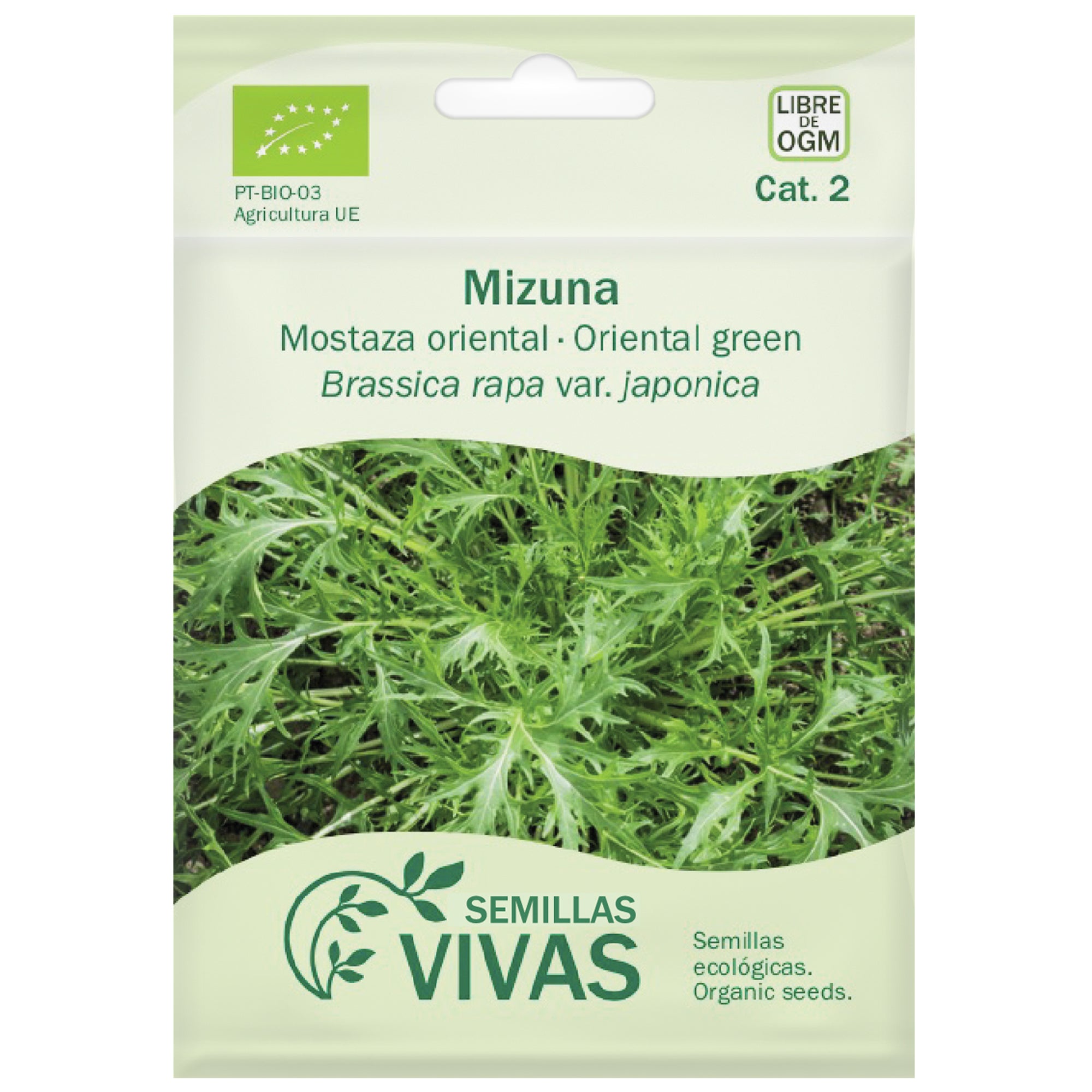 Semilla de verdura asiatica mizuna Leroy Merlin