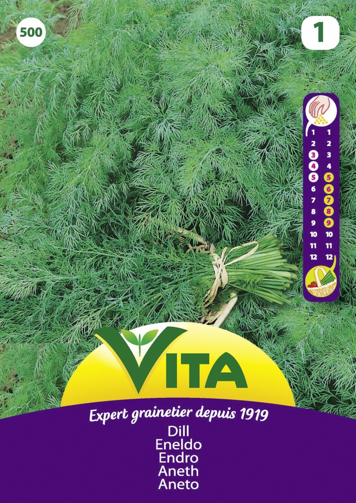 Semillas de eneldo oficinal