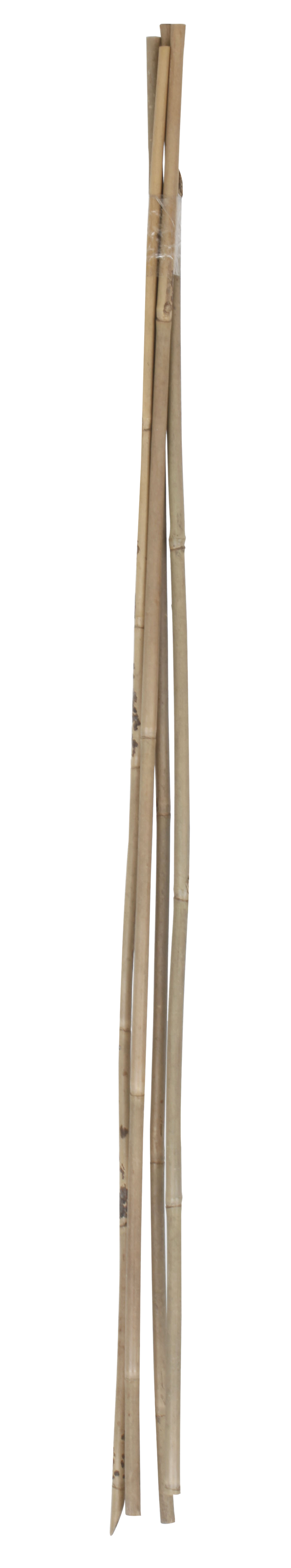 Tutor de bambu NATURAL 90CM 8-10MM