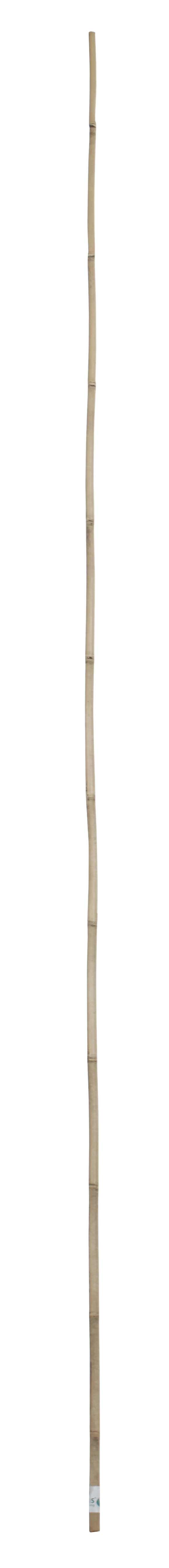 Soporte para plantar de bambú de 2.1m de alto y 16 mm de diámetro