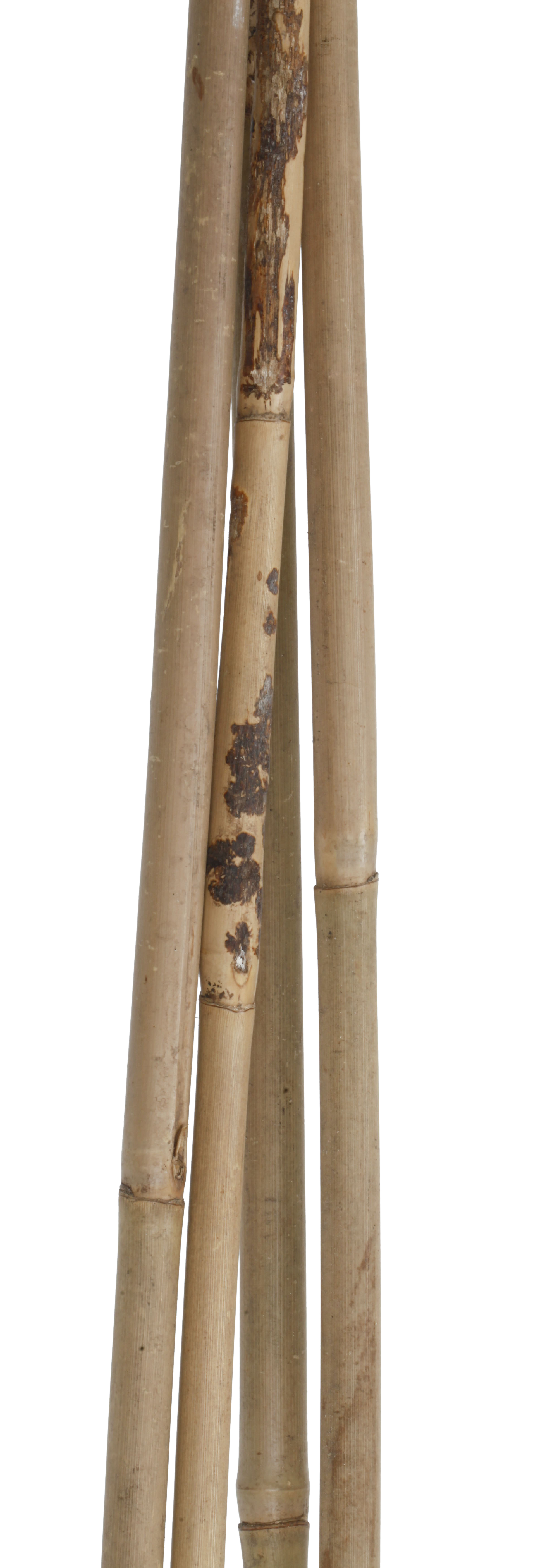 Tutor de bambu NATURAL 90CM 8-10MM - 4