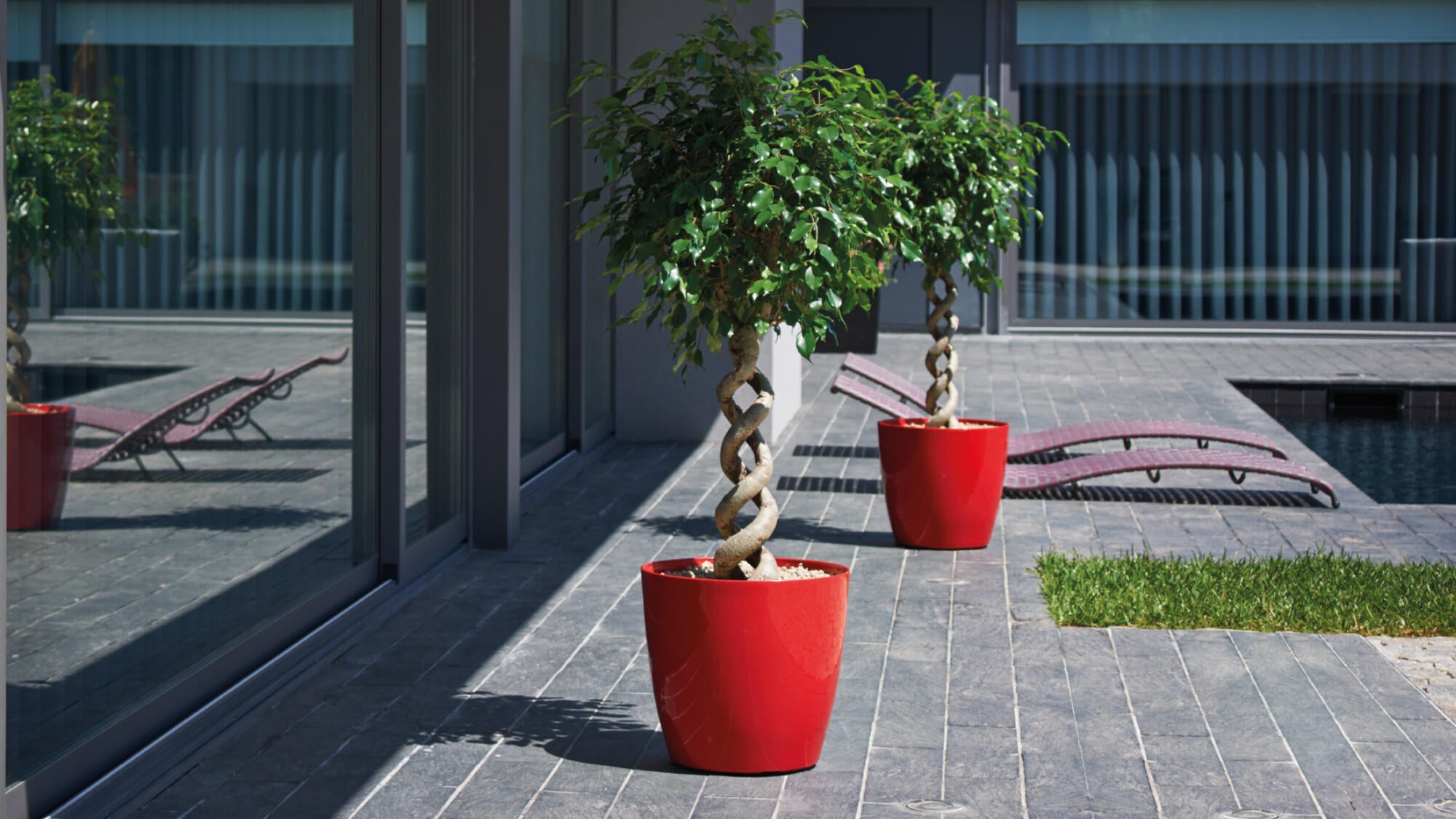 Vaso Sanremo ARTEVASI in polipropilene antracite H 7.5 x ø 9 cm - 4