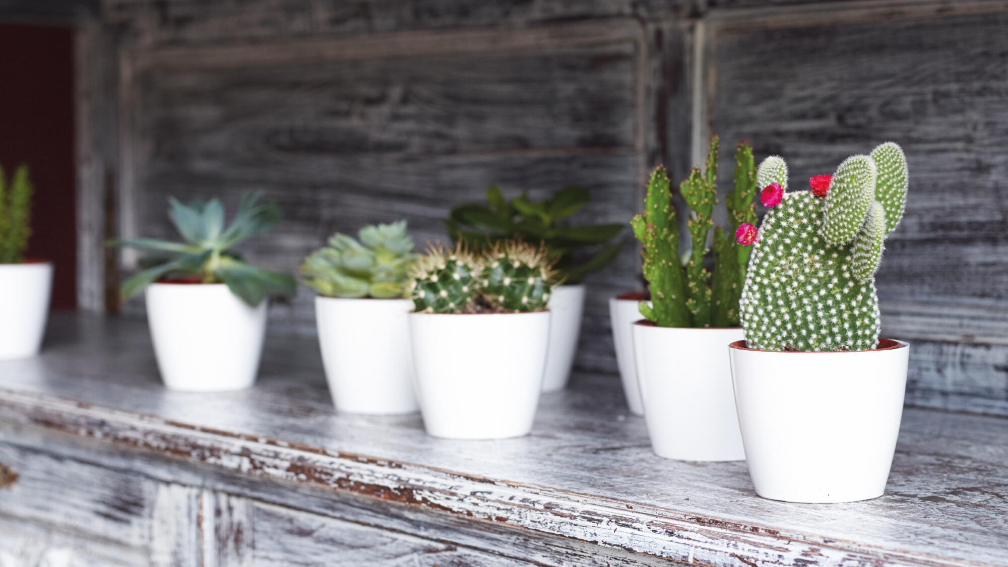 Vaso Sanremo ARTEVASI in polipropilene antracite H 7.5 x ø 9 cm - 3