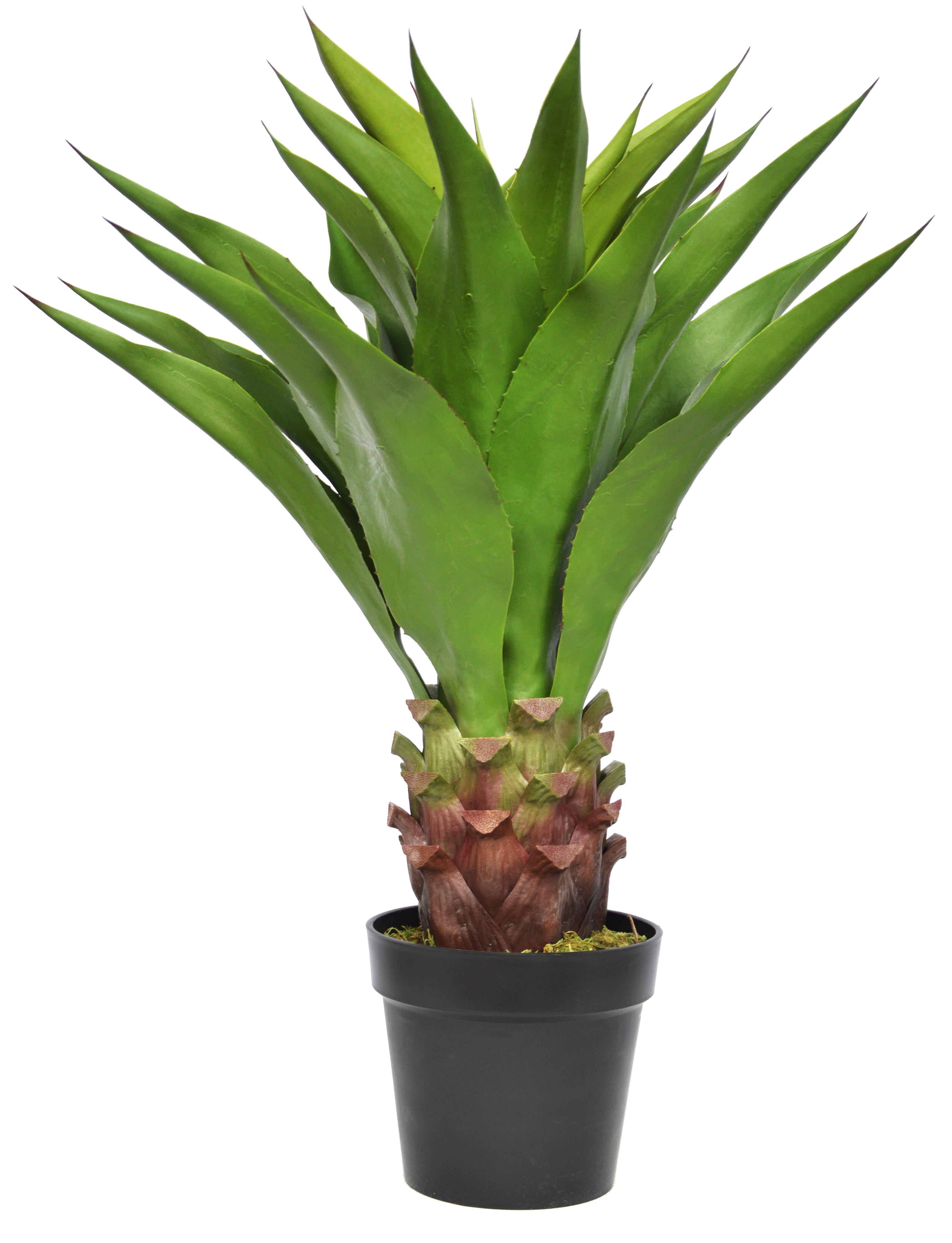 Planta artificial agave de 80 cm de altura en maceta de 16 cm