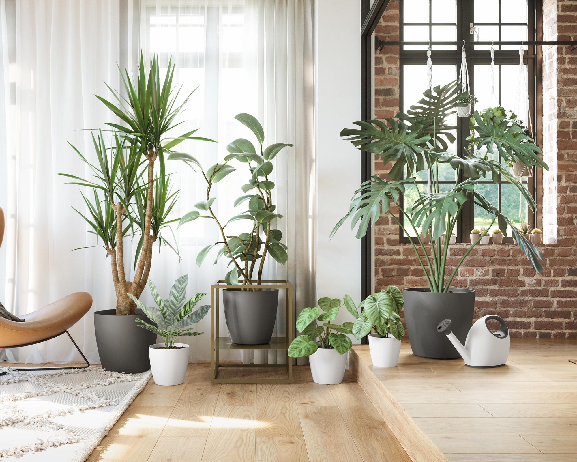 Vaso de plástico SAN REMO MATE 12CM BRANCO - 2