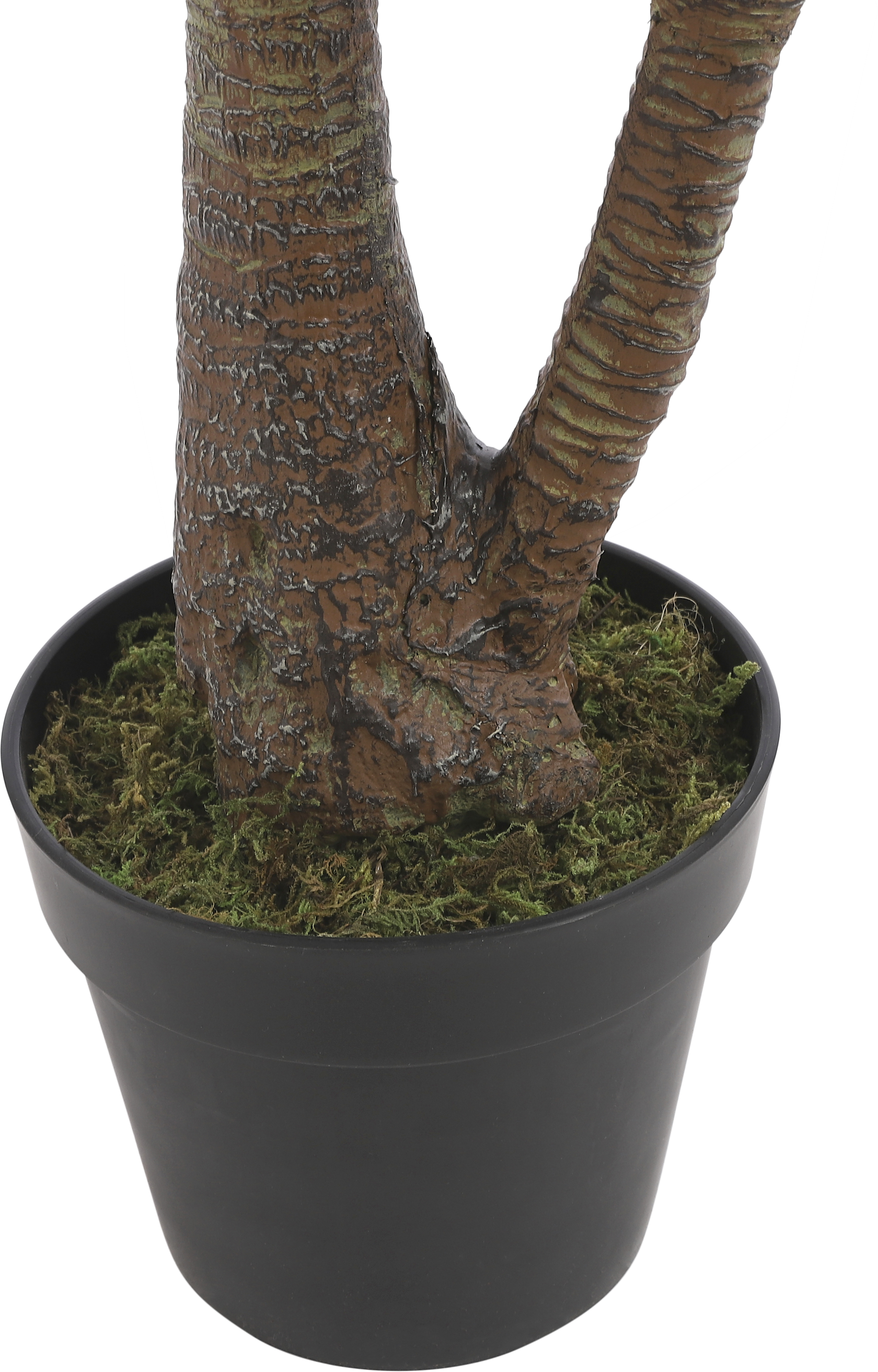 Planta artificial Yuca de 120 cm en maceta de 17 cm - 6