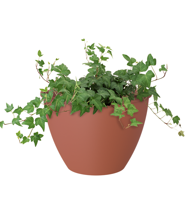 Vaso de resina ALGARVE PAREDE 30CM TERRACOTA