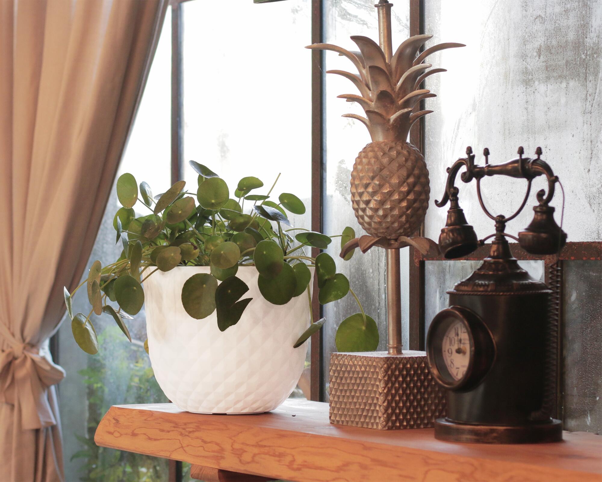 Maceta redonda de polipropileno HAVANA TROPICAL granito 30x24,9 cm - 5