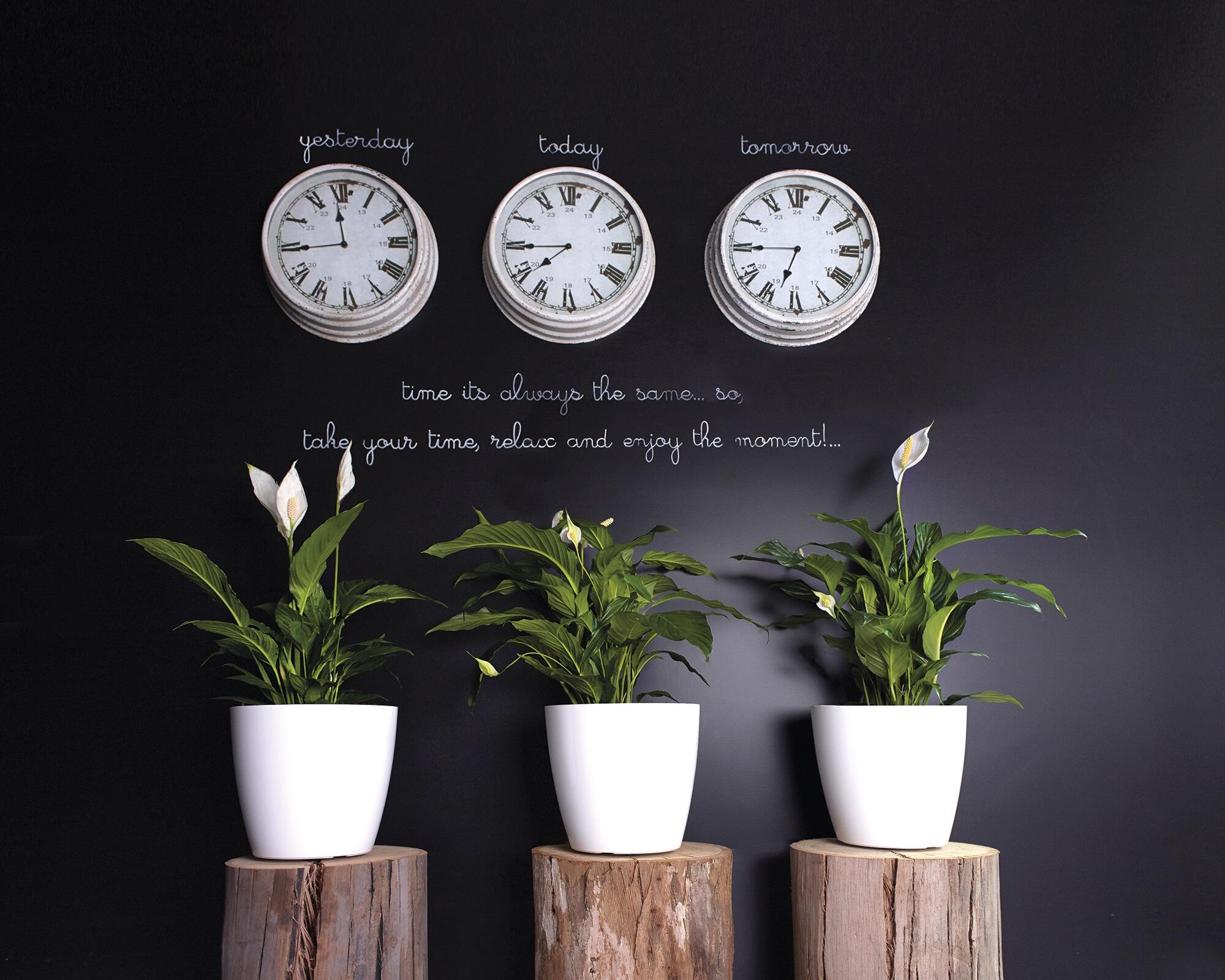 Vaso san remo 12cm branco - 7