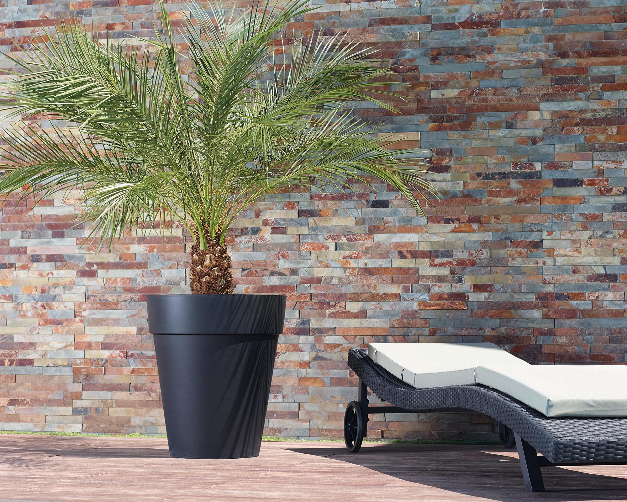 Vaso Capri ARTEVASI in polipropilene antracite H 56 x ø 56 cm - 3