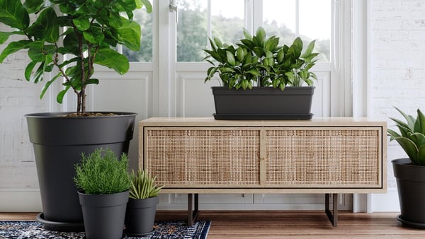 ARTEVASI - Pratos para vasos