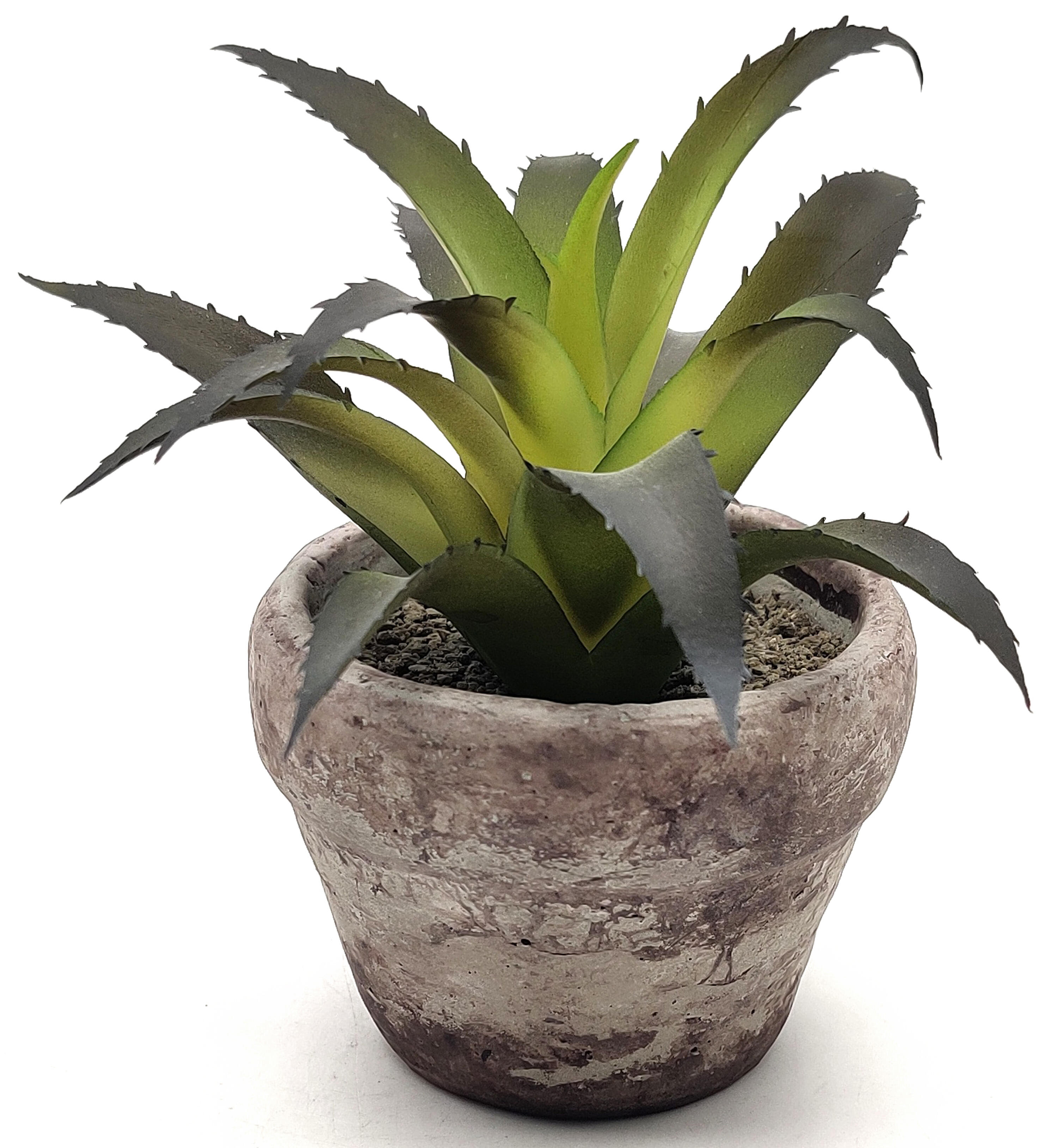Planta artificial suculenta 12x8 cm verde - 3