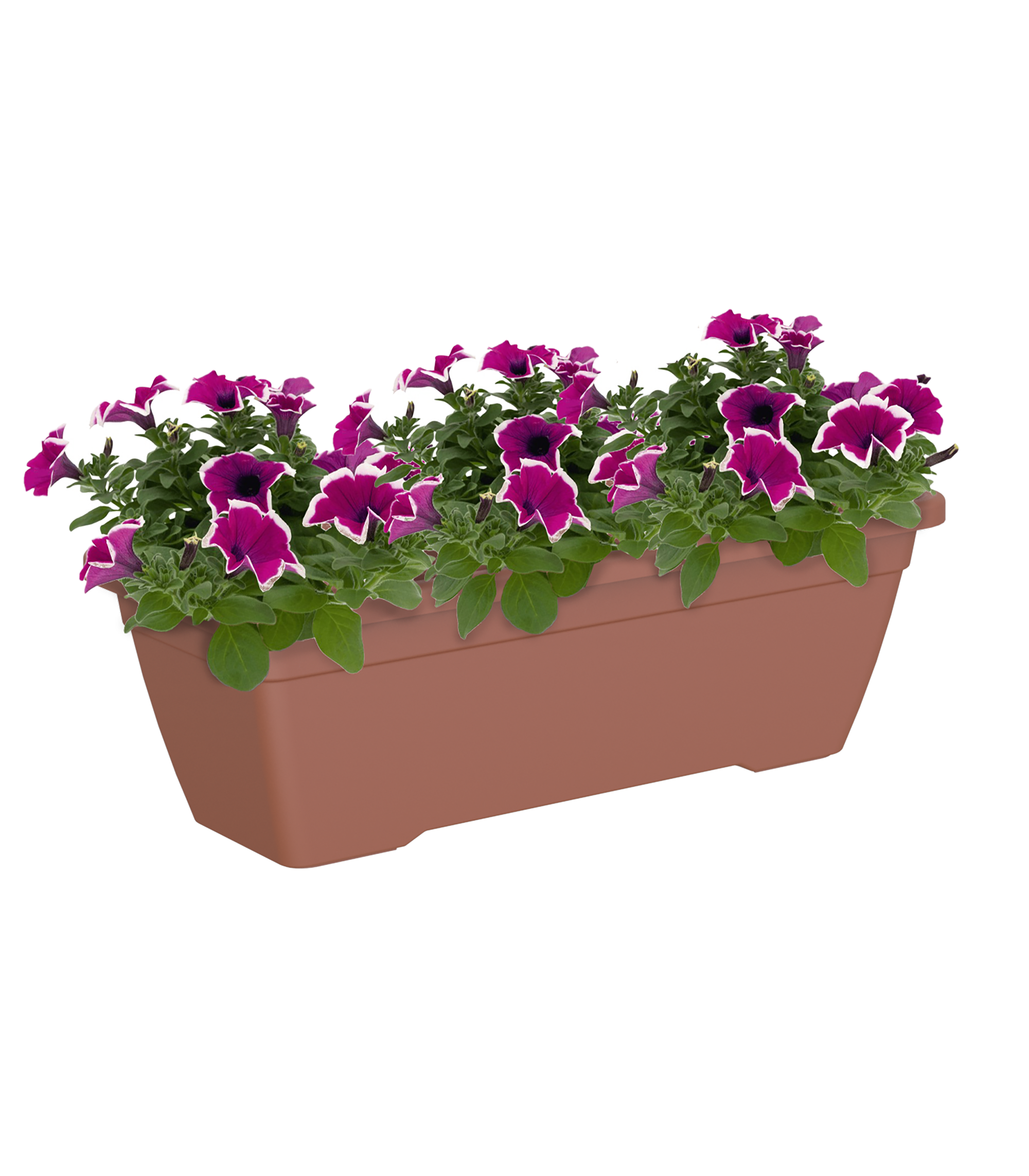 Jardinera venezia terracota 50x19,5x16,3cm