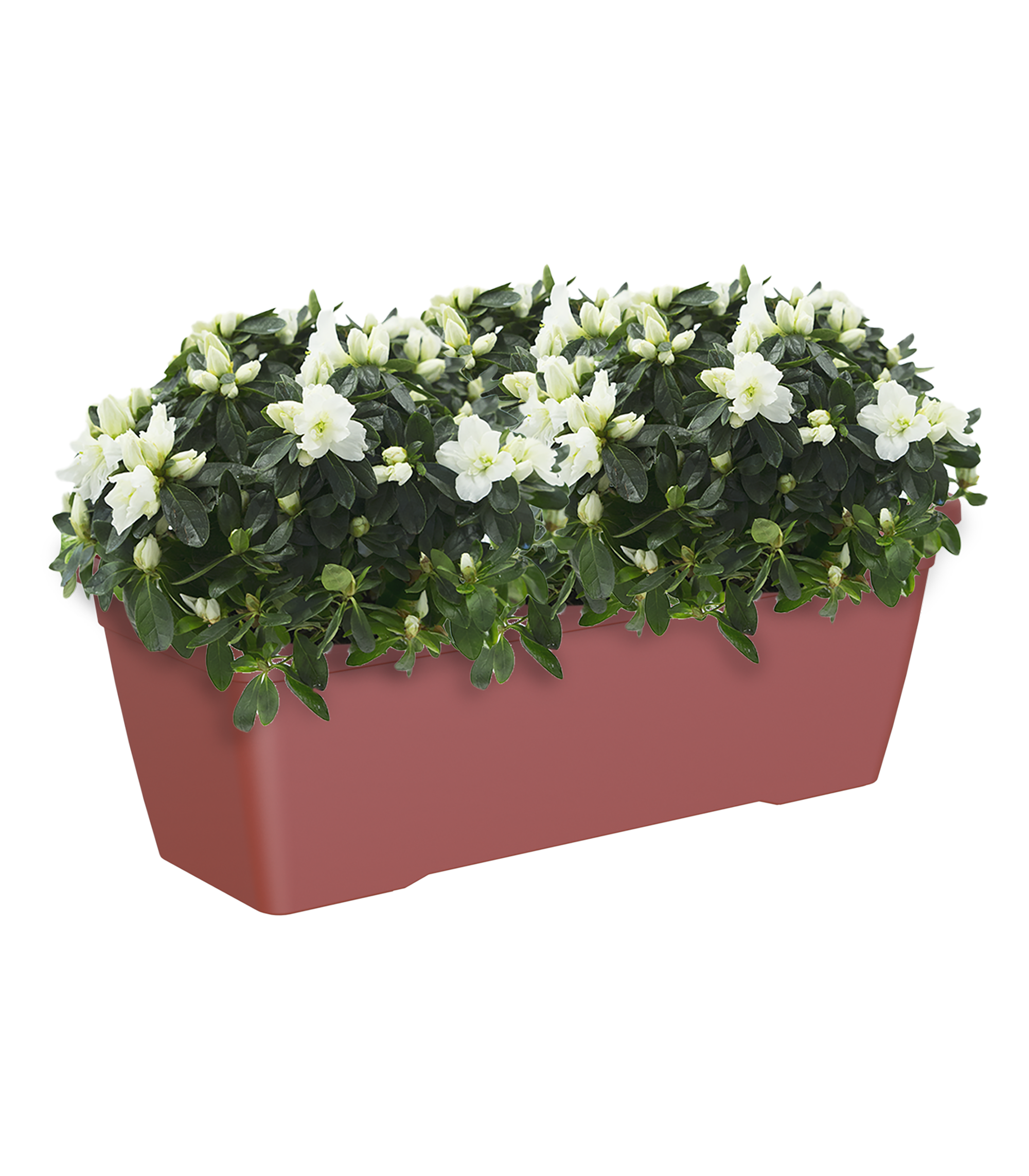 Jardinera l venezia rojo 57,9x24,3x22cm