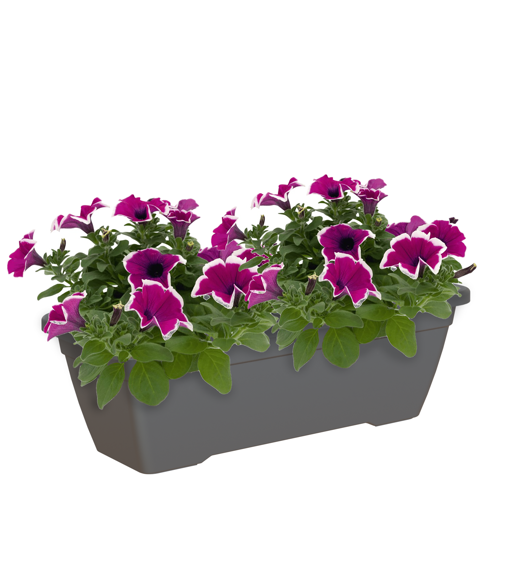 Jardinera venezia antracita 80x19,5x16,3cm