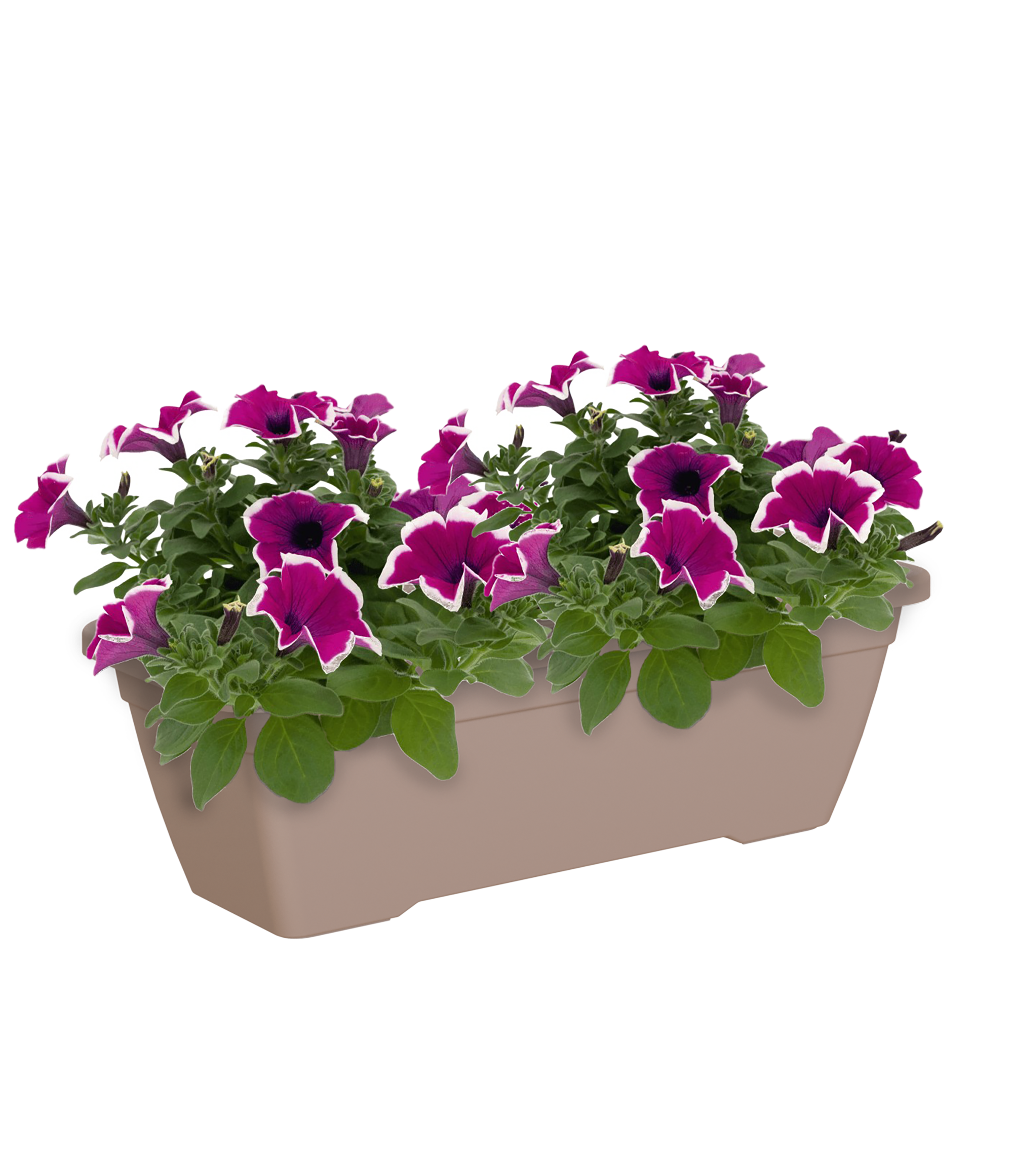 Jardinera venezia topo 80x19,5x16,3cm