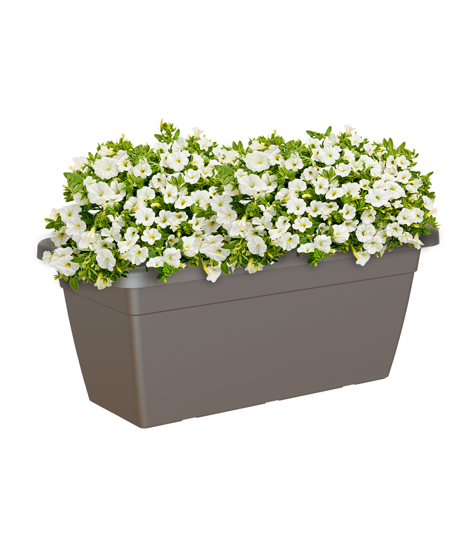 Jardinera xl venezia bronce 80x39x34,5cm