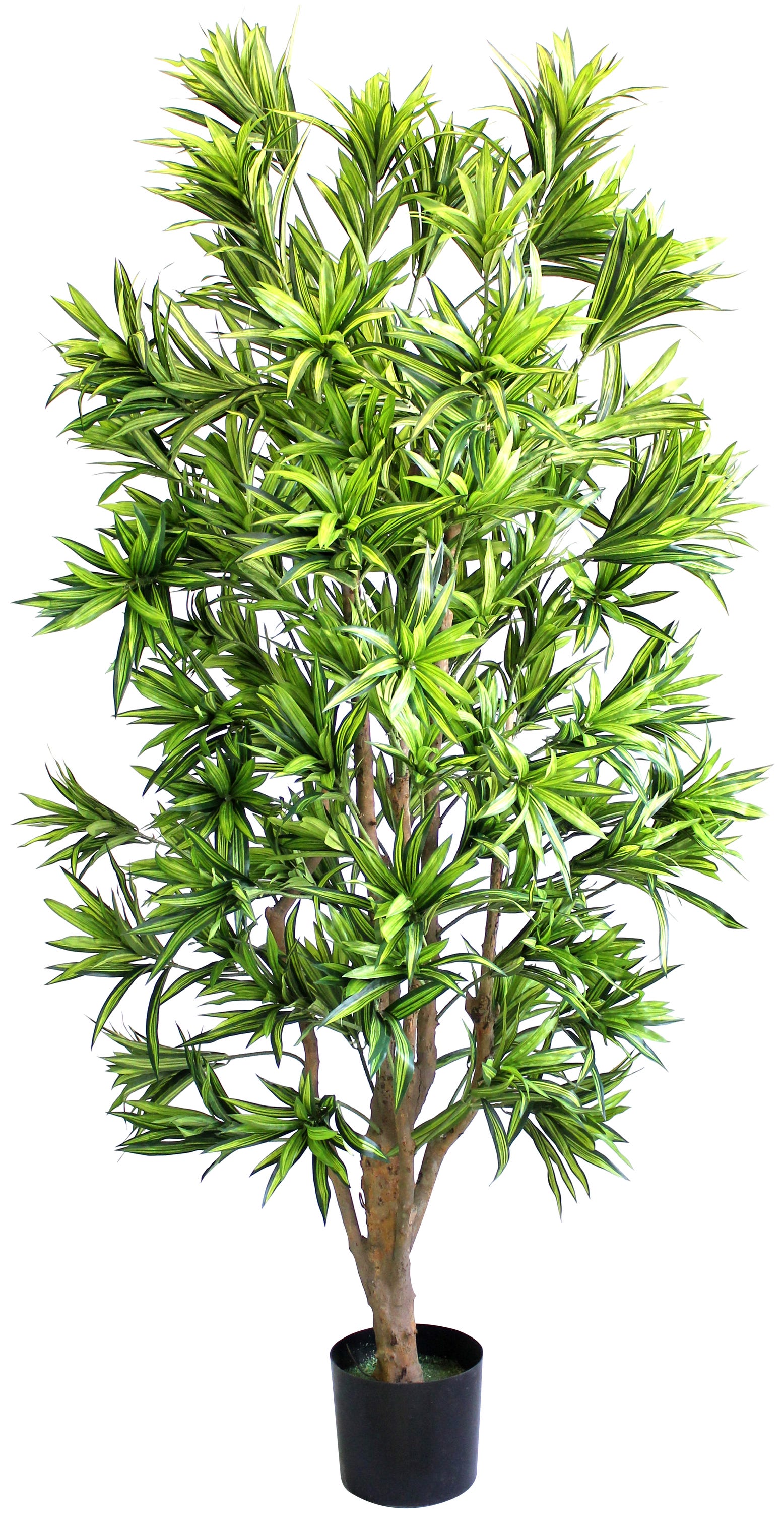 rbol Artificial Dracena Reflexa De 180 Cm En Maceta De 20 3 Cm rbol-artificial-dracena-reflexa-de-180-cm-en-maceta-de-20-3-cm