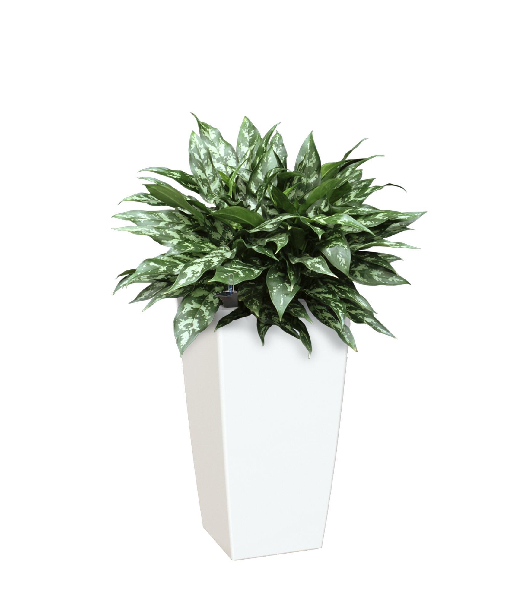 Maceta auto riego de polipropileno pisa blanco 40x40x78cm