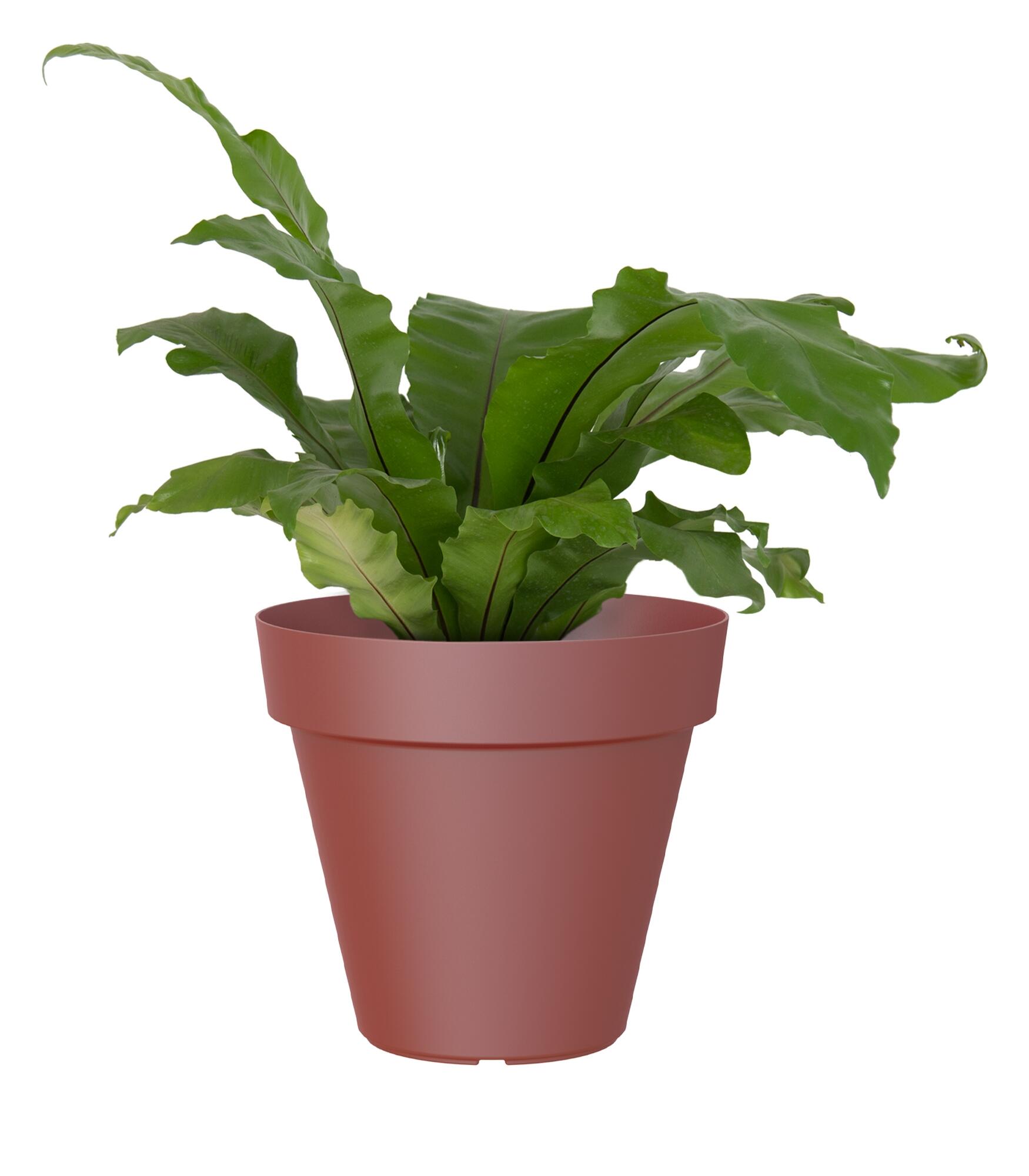 Maceta de polipropileno capri rojo ø 80 cm