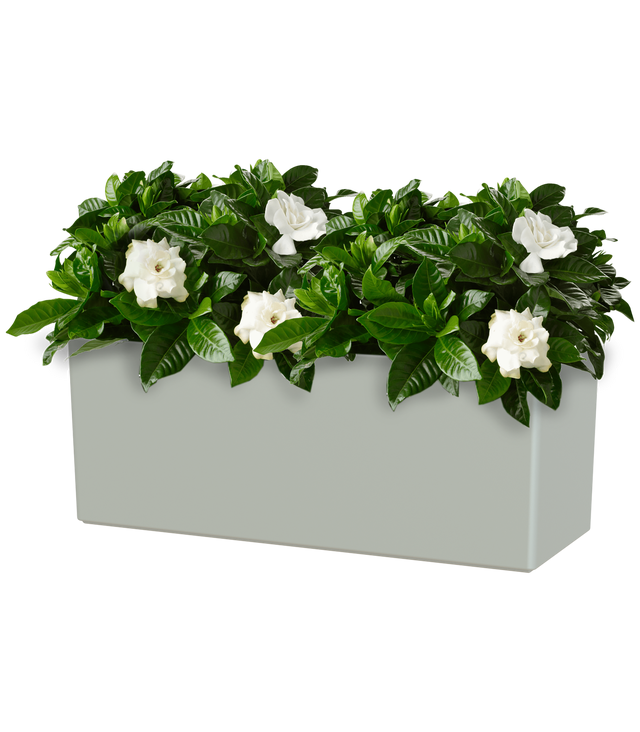 Jardinera auto riego rectangular de polipropileno ARTEVASI Rimini 51 x 20 x 20 cm gris mate