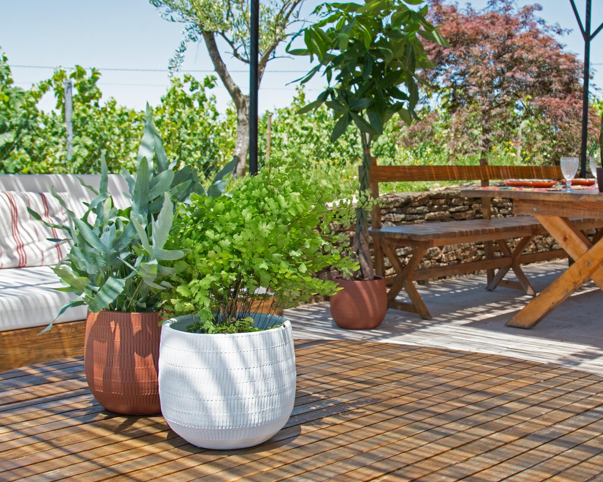 Vaso de cerâmica AURA 16CM BRANCO - 3