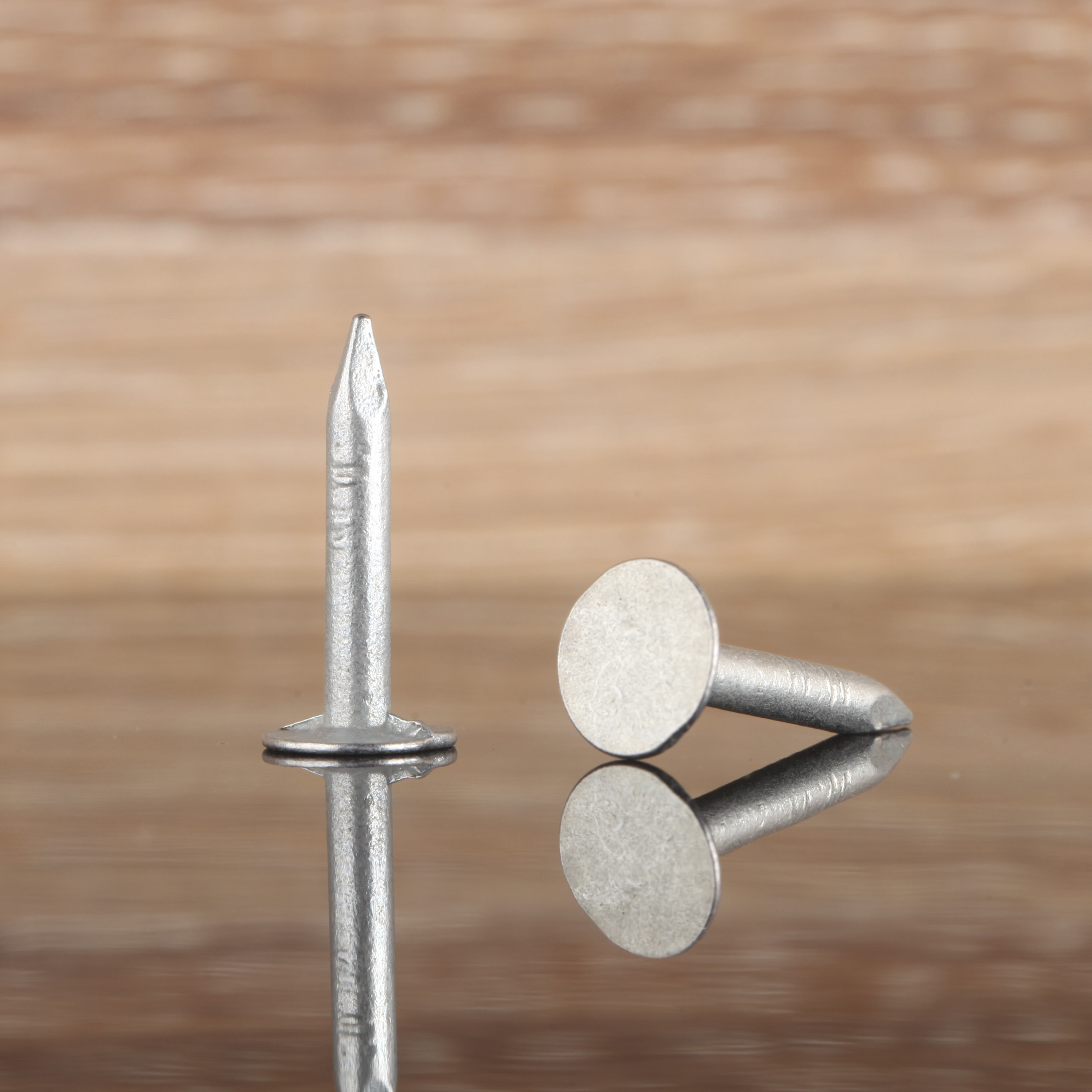 50 Pregos STANDERS CABEÇA CHATA 3.0X20 MM - 3