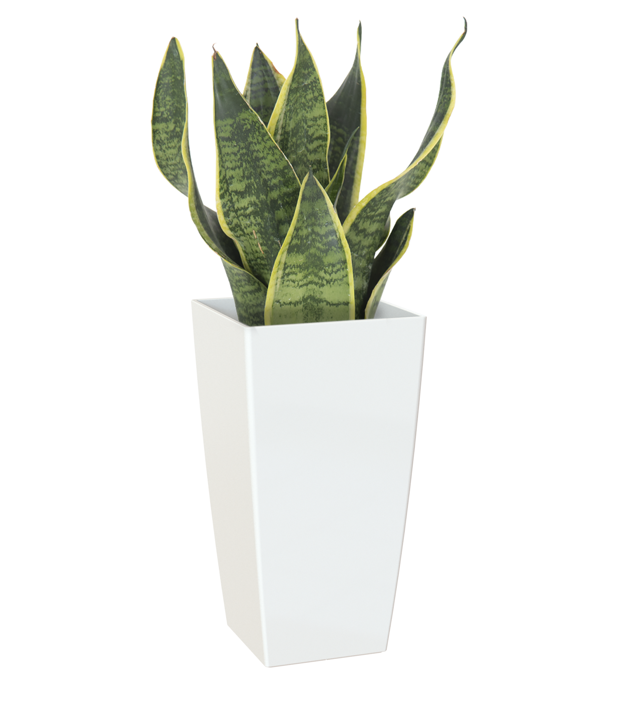 Maceta de polipropileno pisa blanco 33x61 cm