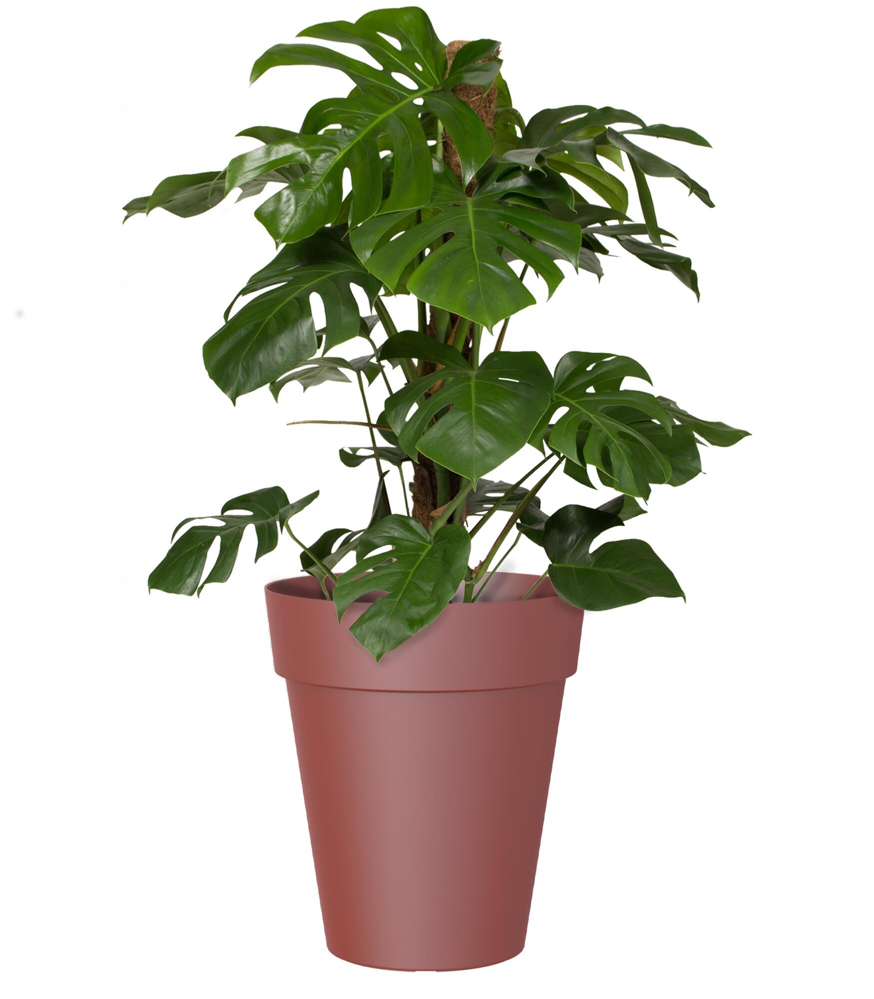 Maceta redonda de polipropileno artevasi capri ø 40 cm y 46.3 cm altura rojo