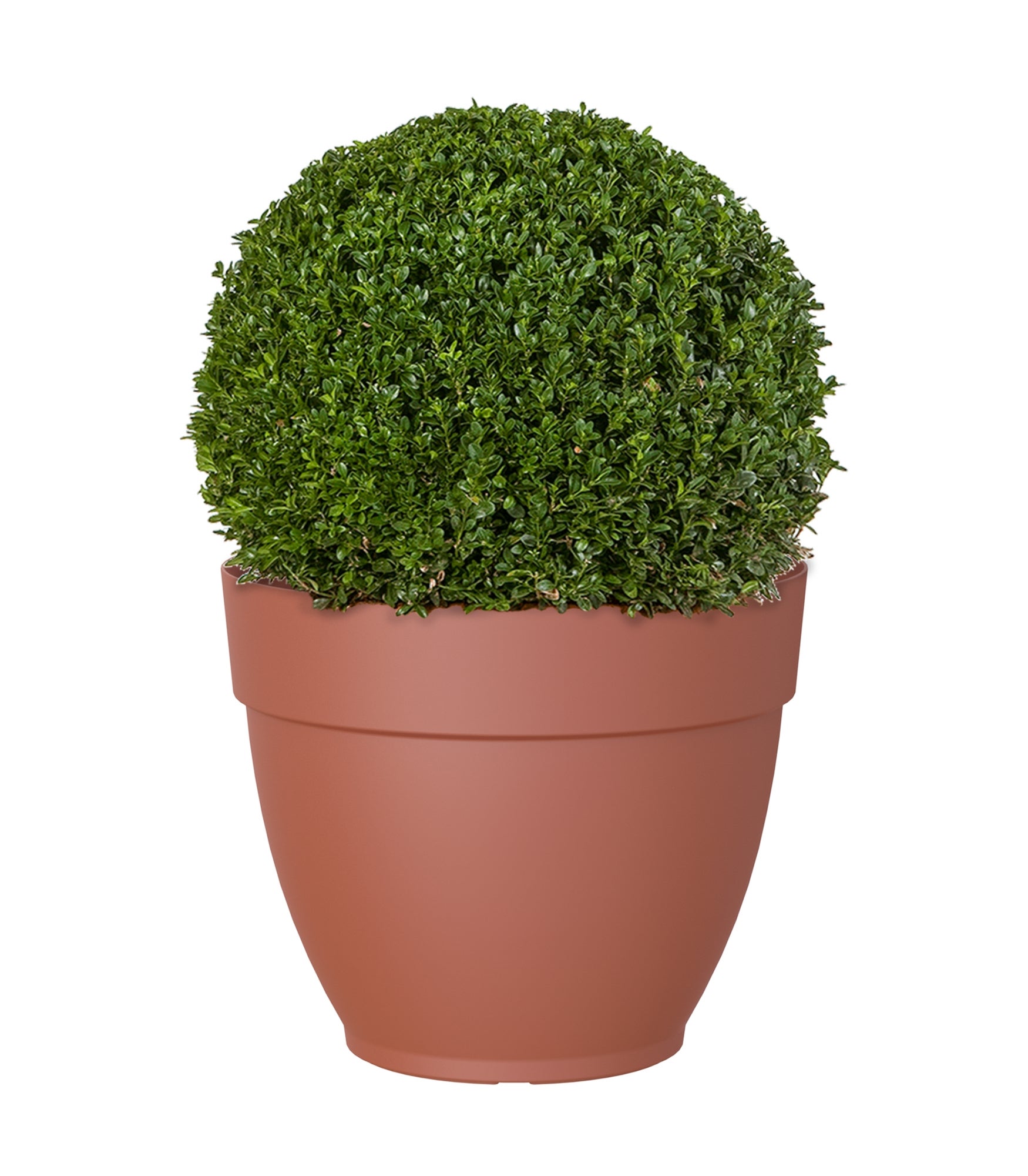 Maceta de polipropileno capri campana terra ø 70 cm