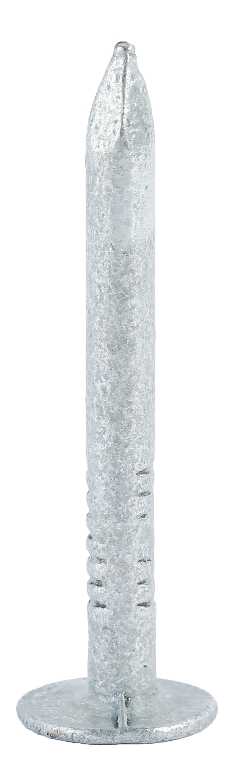 30 Pregos STANDERS CABEÇA CHATA 3.0X30 MM - 6
