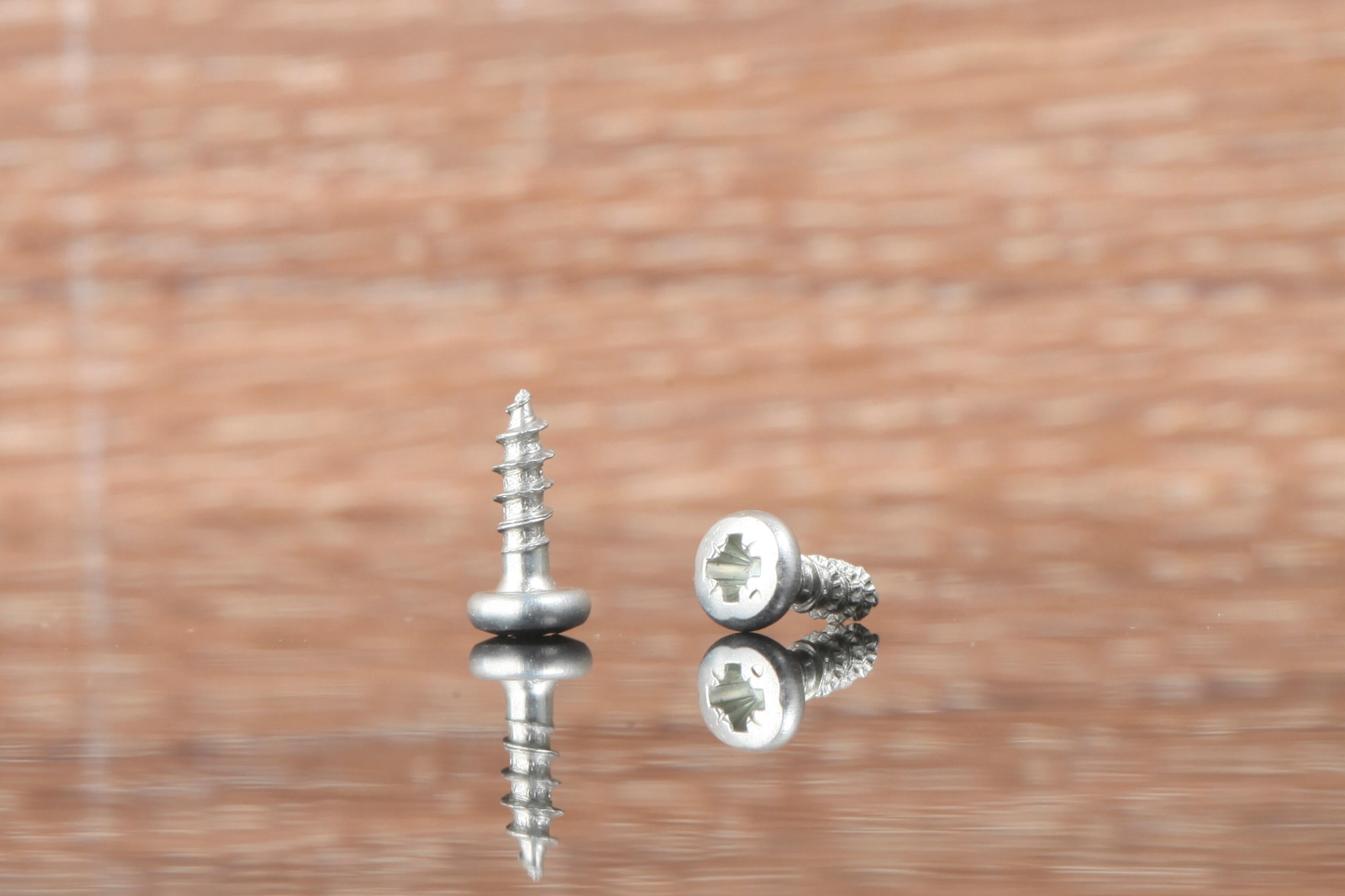Vite SPAX testa tonda T10 in acciaio wirox Ø3XL10 mm, 100 pezzi - 2