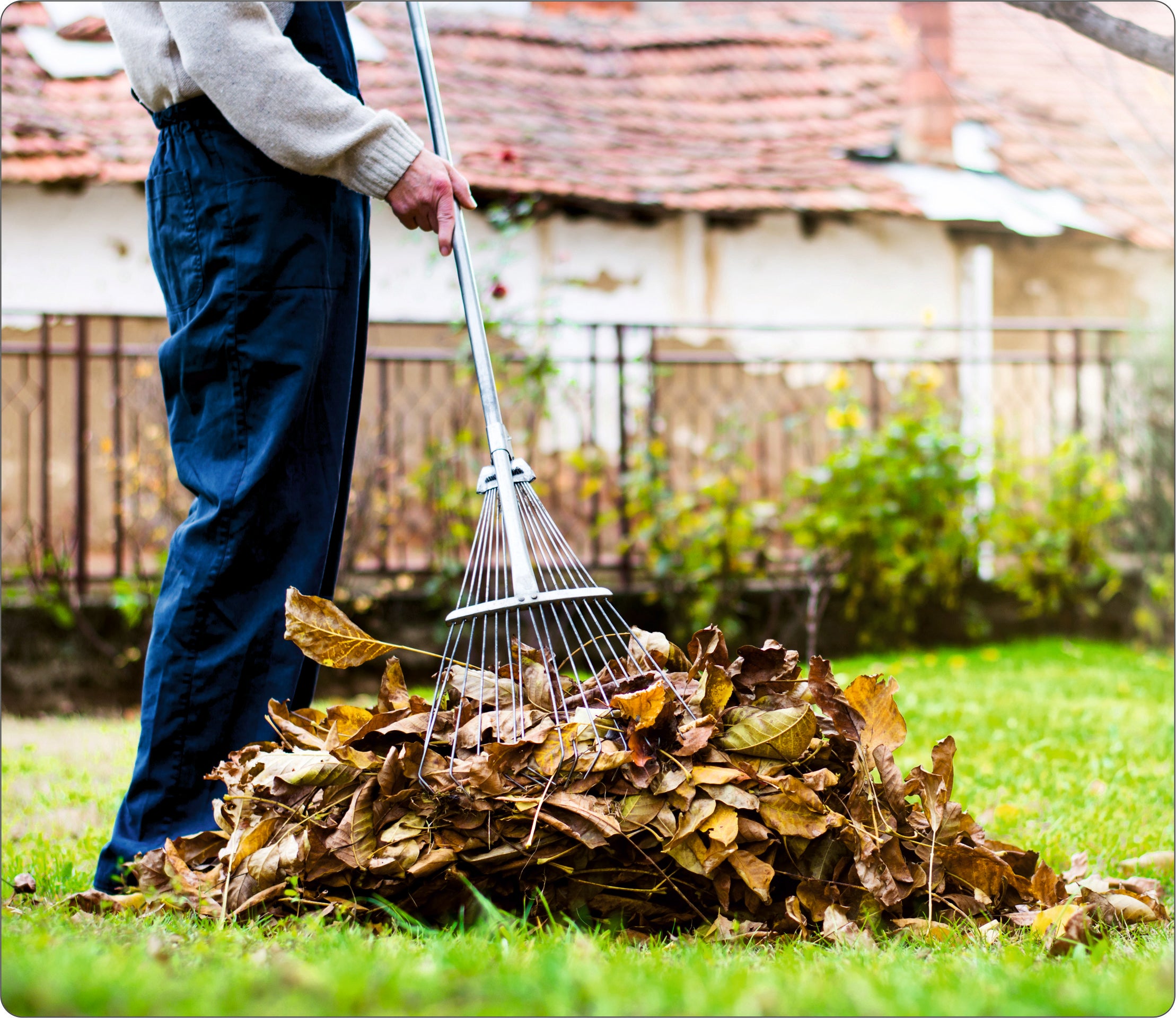 10 sacos do lixo Nespoli 100L - 2