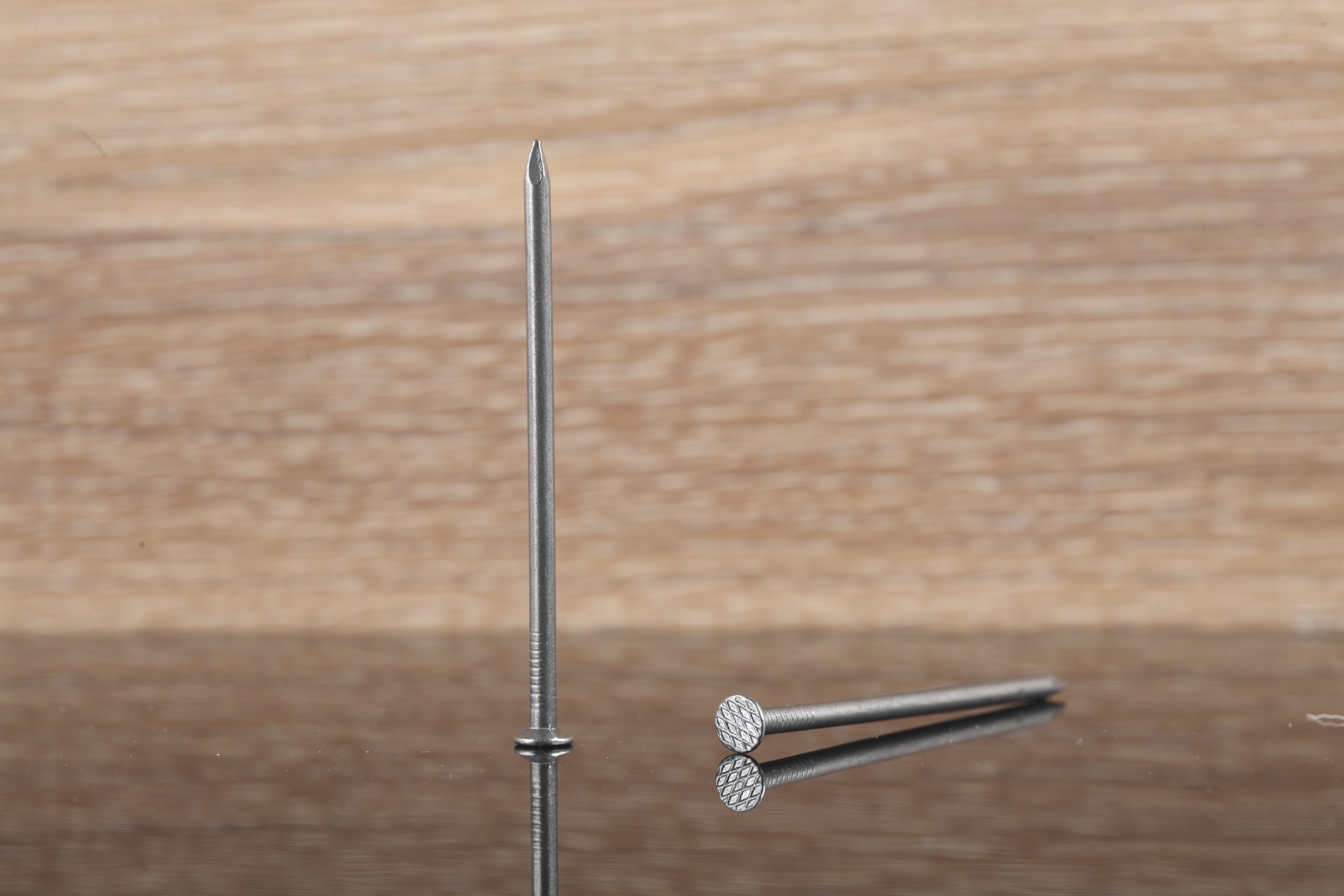 195 Pregos STANDERS CABEÇA CHATA 3.1X70 MM - 4