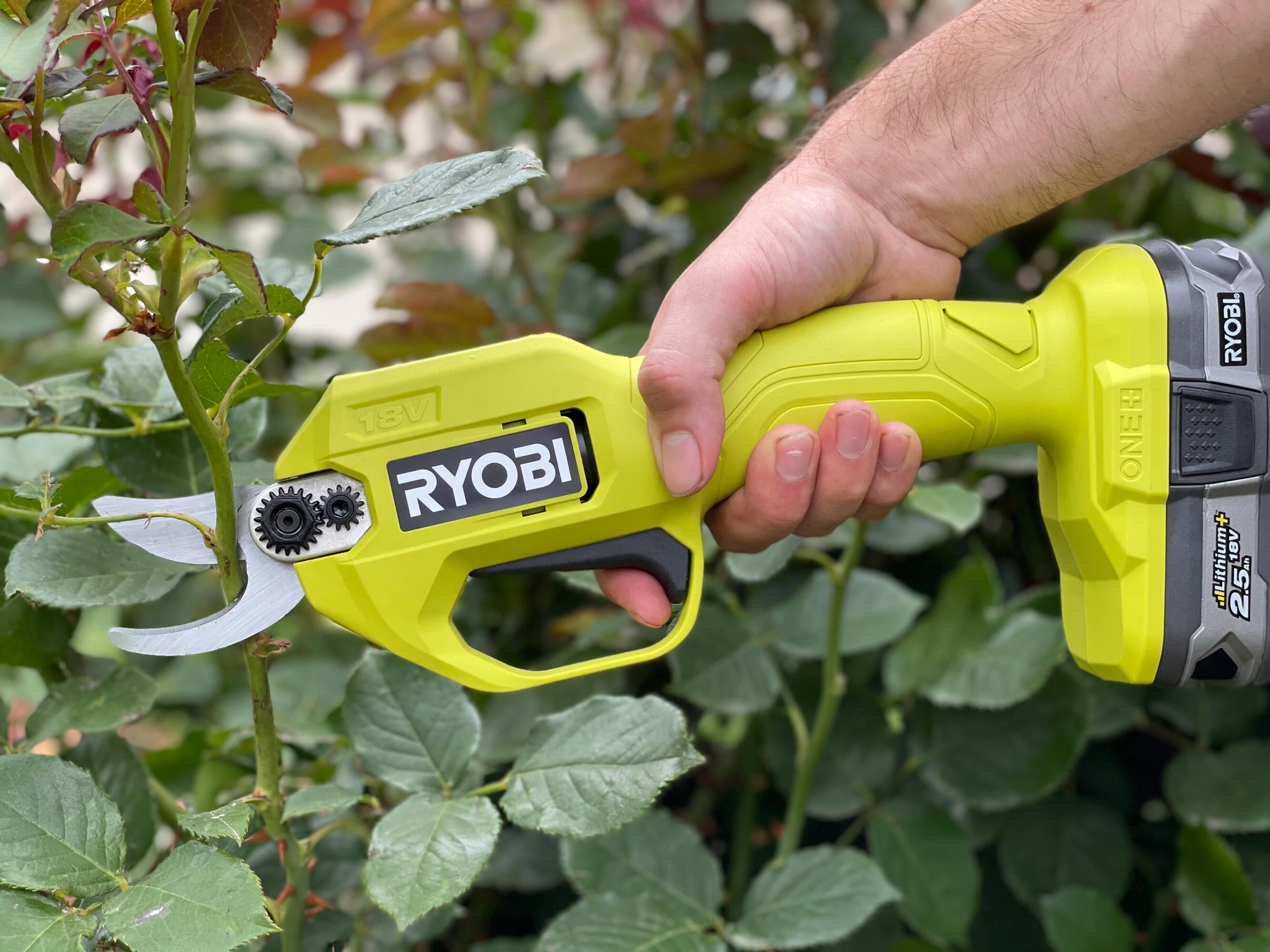 Tesoura de poda a bateria 18 v Ryobi ONE+ BARETOOL RY18SCA-0 - 5