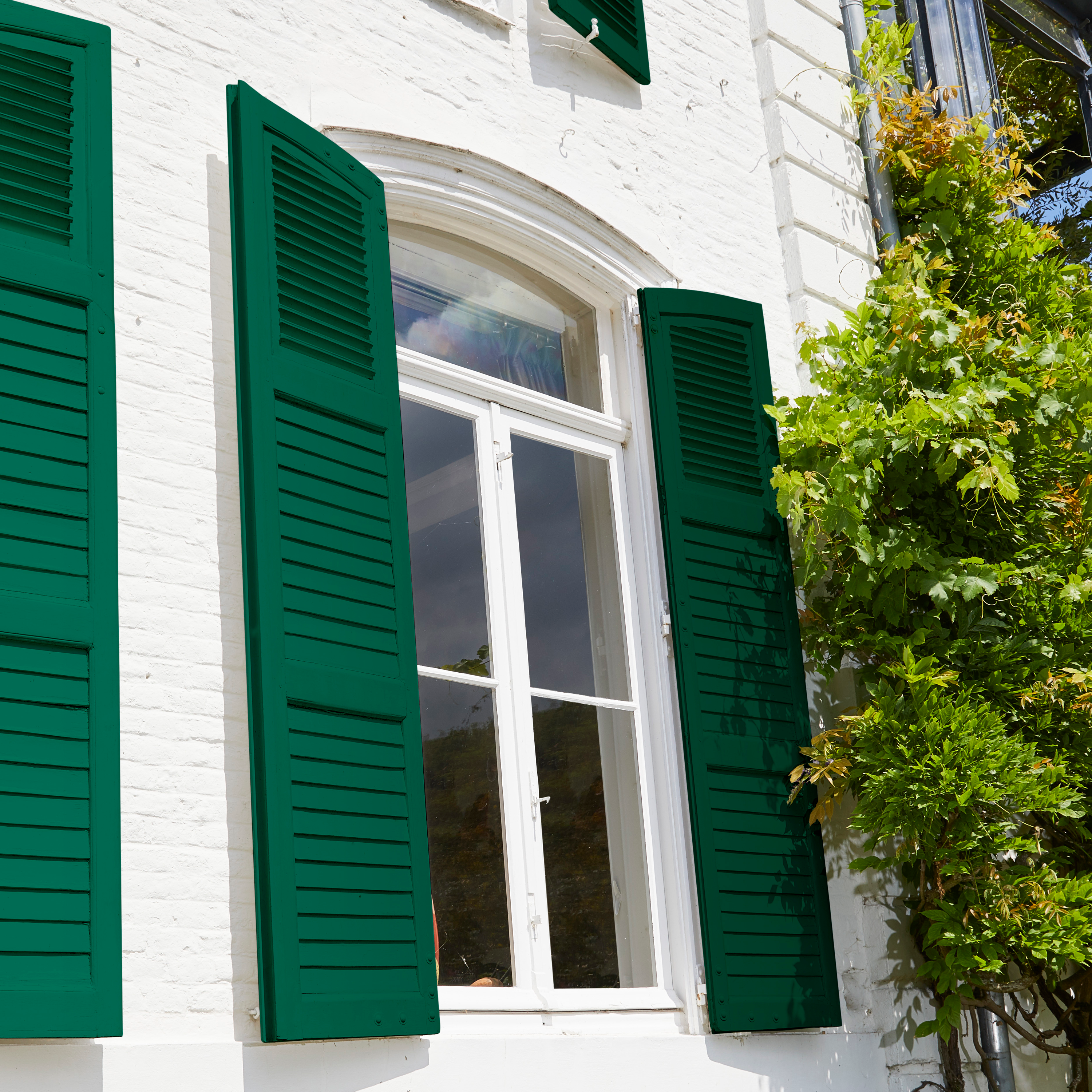 Tinta madeira LUXENS ACETINADO LUX 10A 0.5L VERDE - 7