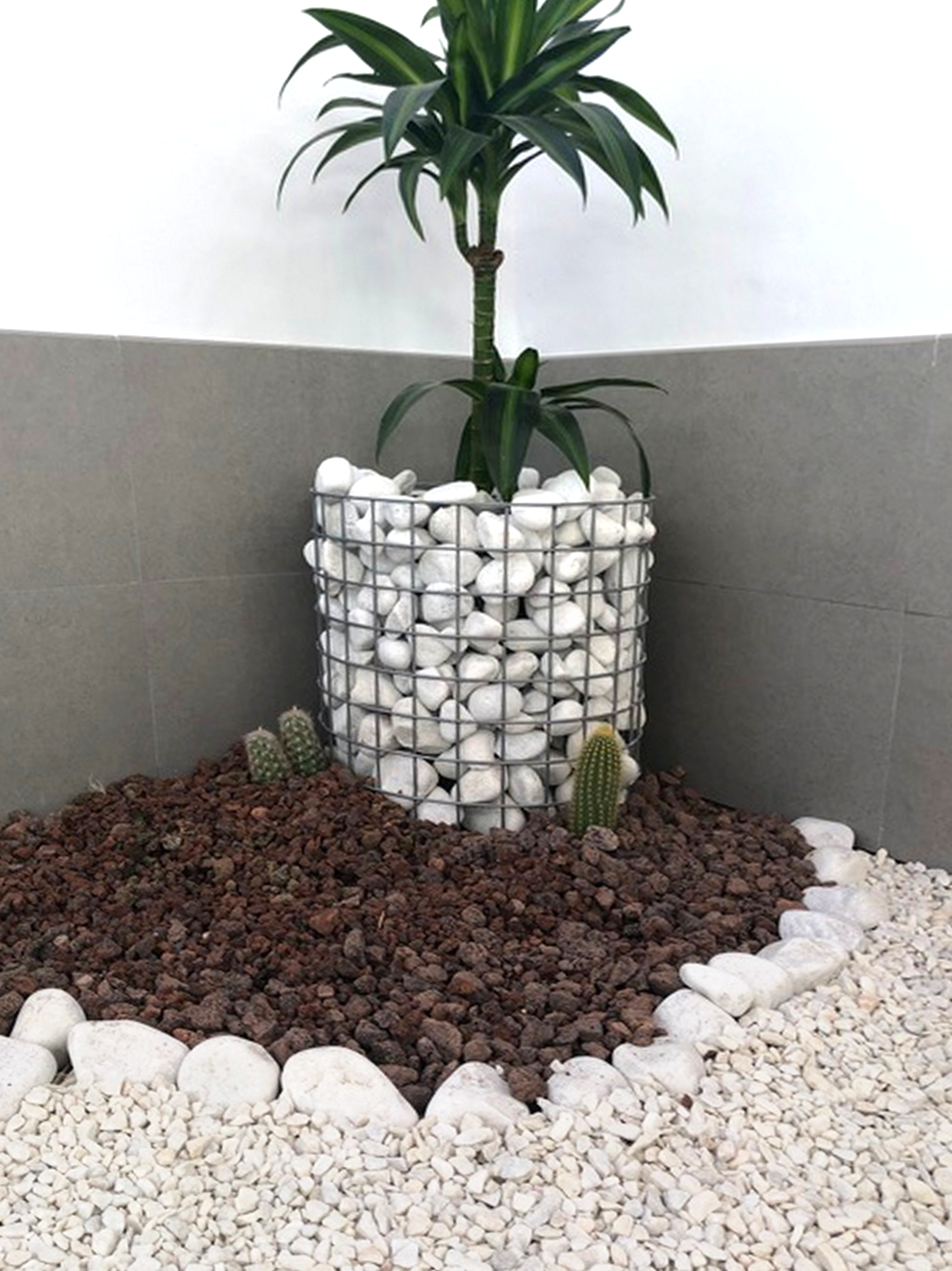 Saco de piedra calcárea rodada Blanco 20 kg 40 y 60 mm - 5