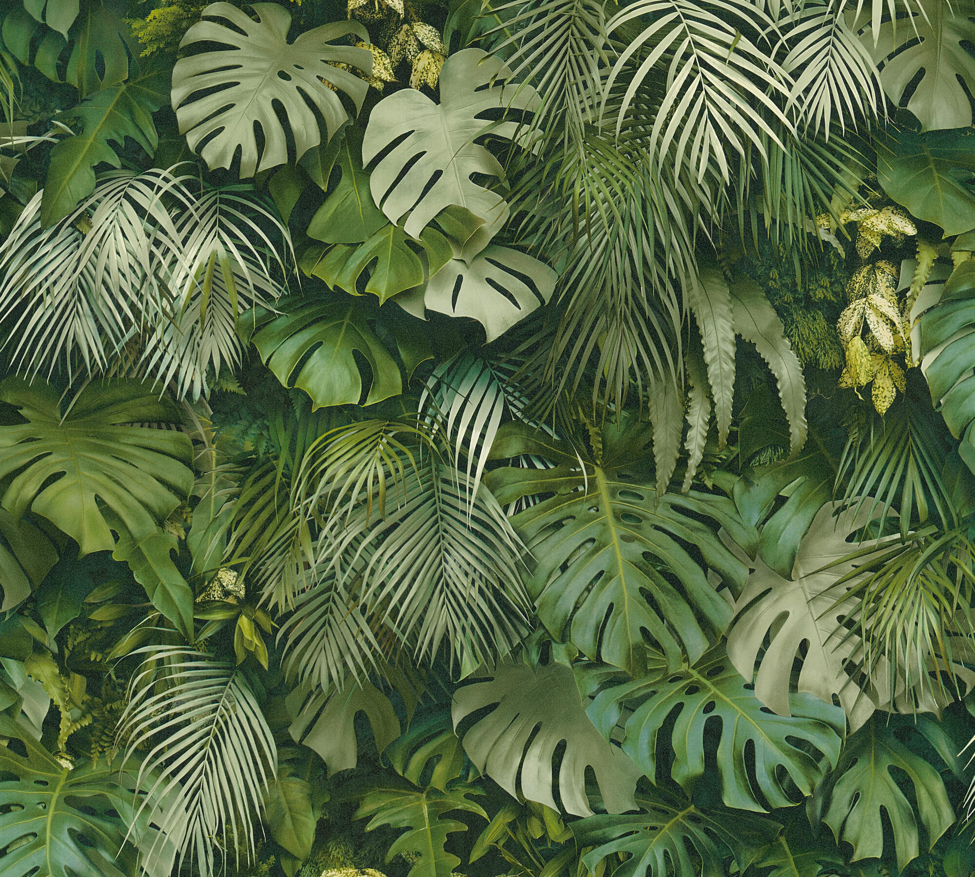 Carta da parati Jungla verde, 53 cm x 10.05 m - 7