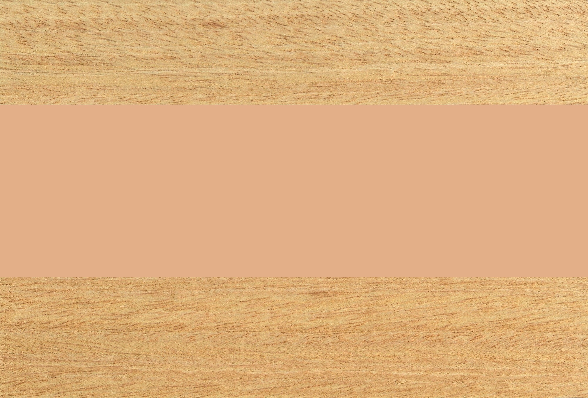 Masilla madera al agua PROMADE 120 gr haya - 2