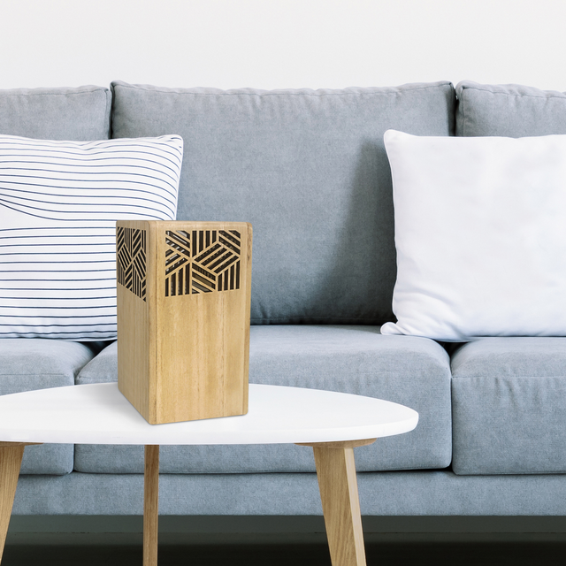 Productos absorbe humedad controla la humedad de tu casa