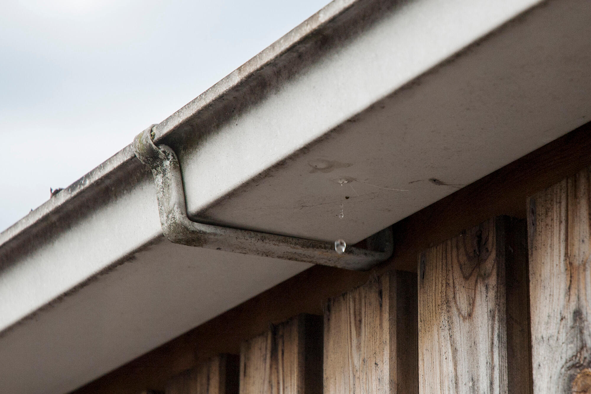 Adhesivo de montaje SOUDAL T-REX POWER 290 ml negro para madera, hormigón, aplicación con pistola, resiste a las torsiones. Para fijar un material a una superficie. - 5