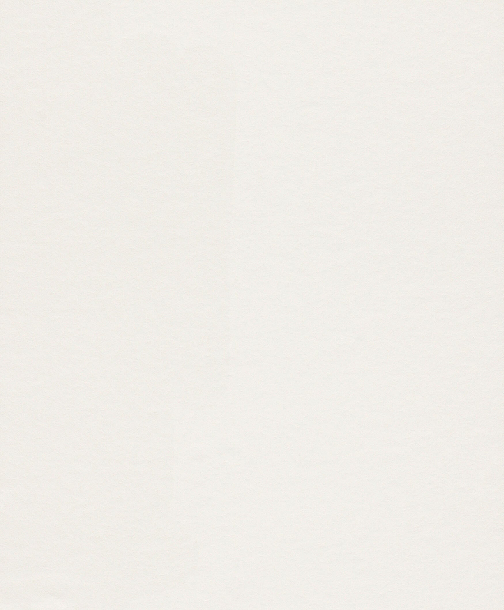 Papel pintado TNT aplicación cola en pared Liso Forro basic cubre gotelé 120 gr blanco  RASCH 53cmx10.05m lavable - 2