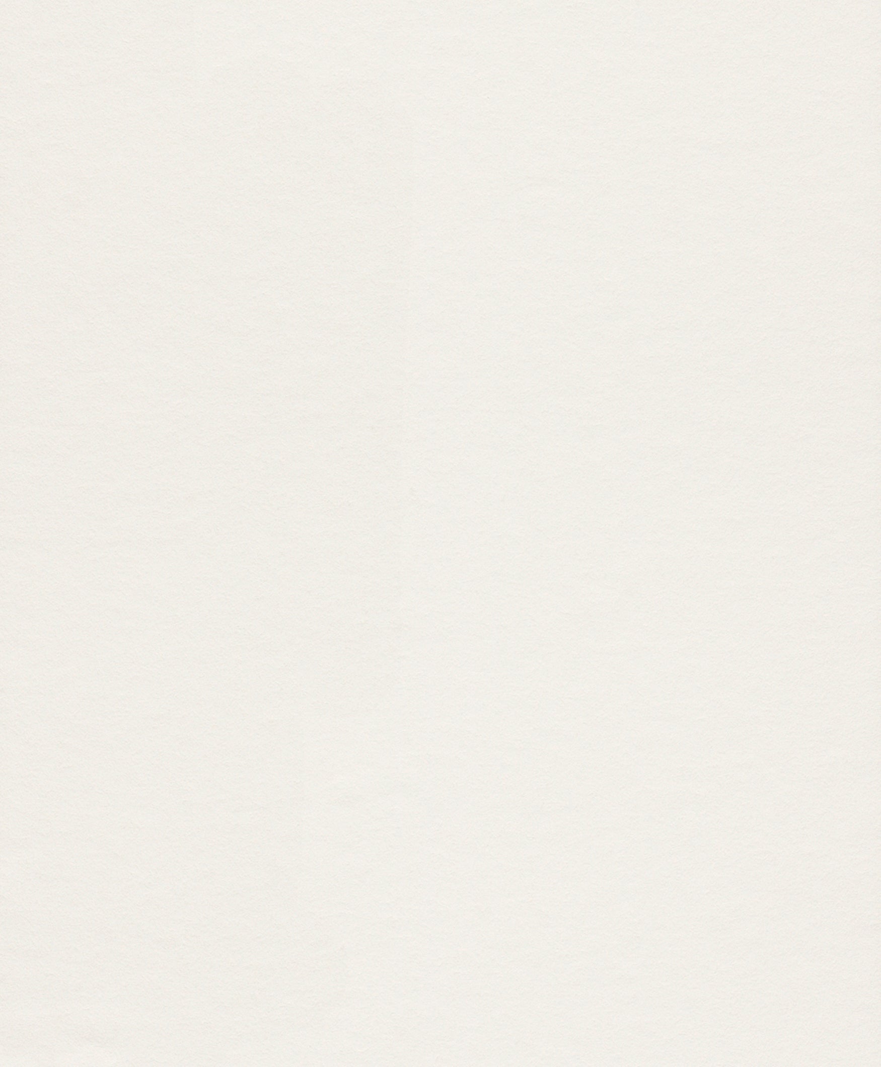 Papel pintado liso forro basic cubre gotelé 120 gr blanco