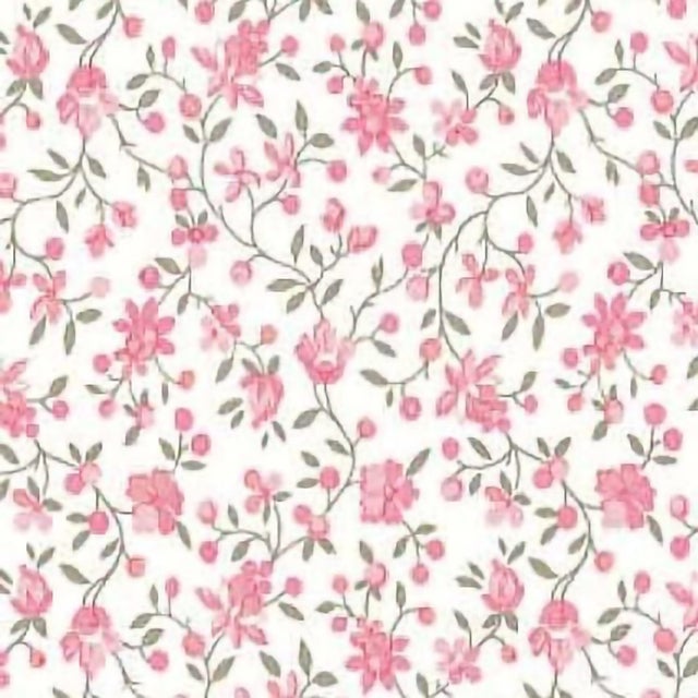Adhesivo decorativo en rollo PVC Botánico Clara color Rosa satinado. De 0.45 x 2 m. Recomendado: para decorar una pared o un objeto.