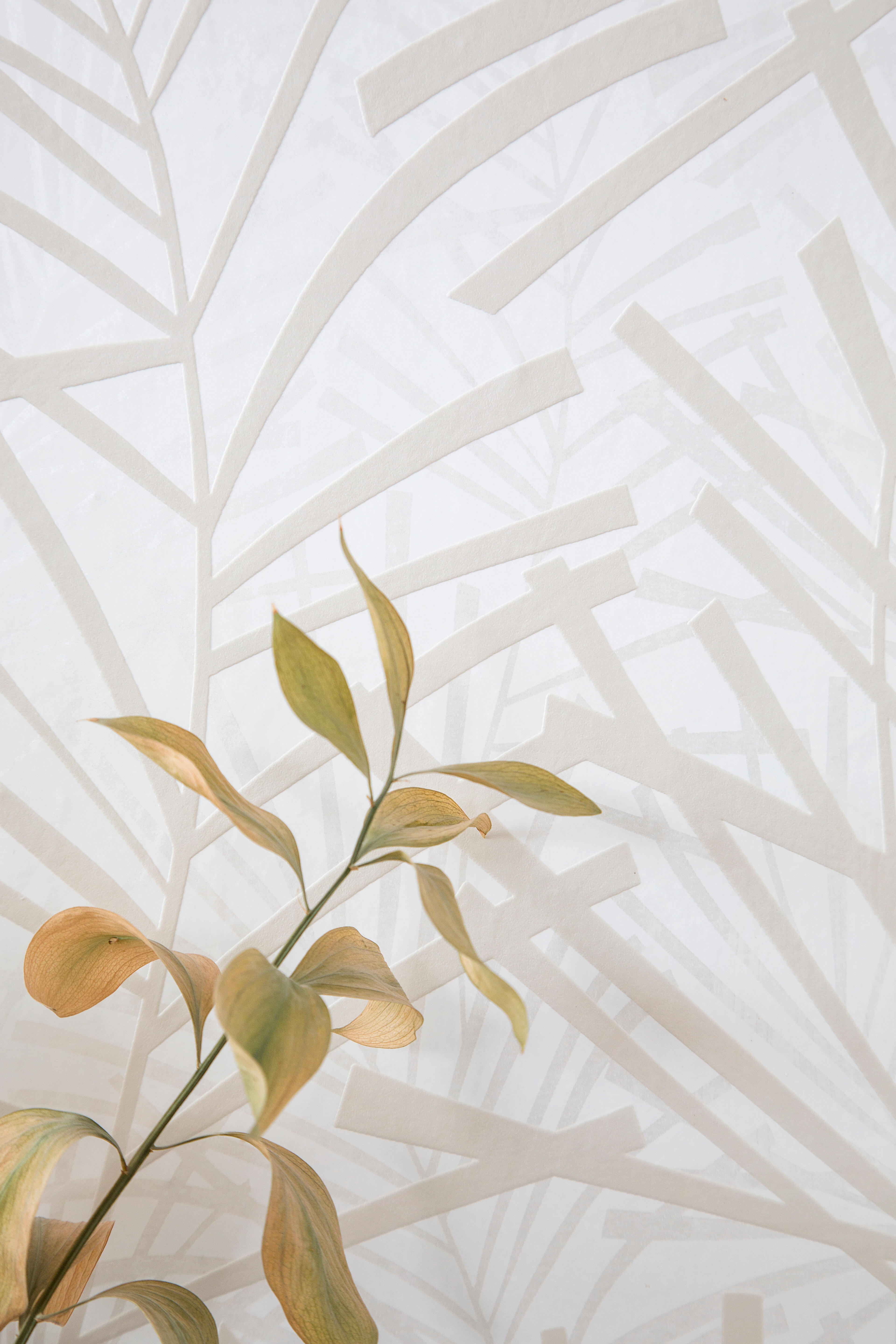 Papel de parede AURA PALME BEGE - 5