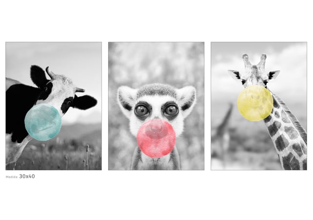 3 imagens CRAZY ANIMAIS 30X40CM