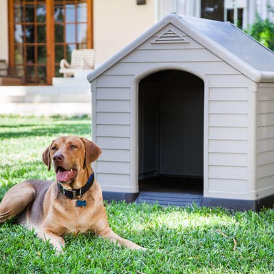 75 ideas de Casas para perros grandes