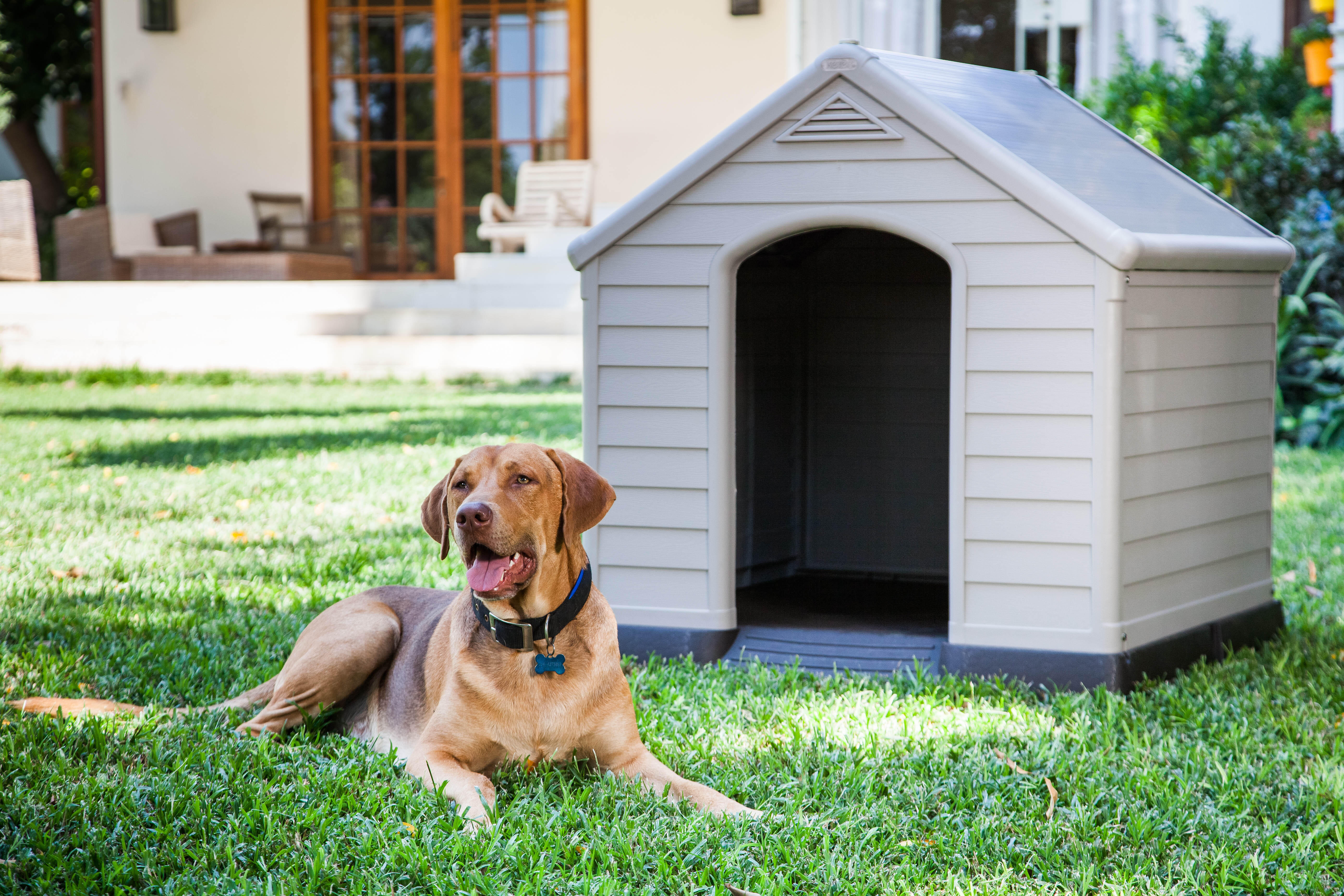 Casota de cão KETER TAUPE 99X99X95 CM - 2