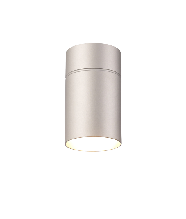 Plafón downlight redondo Aruba E27 plata