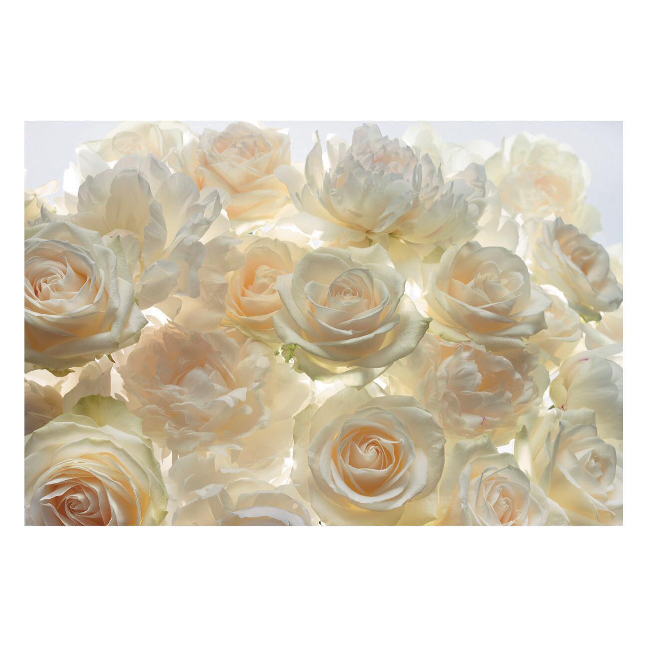 Fotomurale KOMAR Shalimar, multicolor 368X248 cm - 3